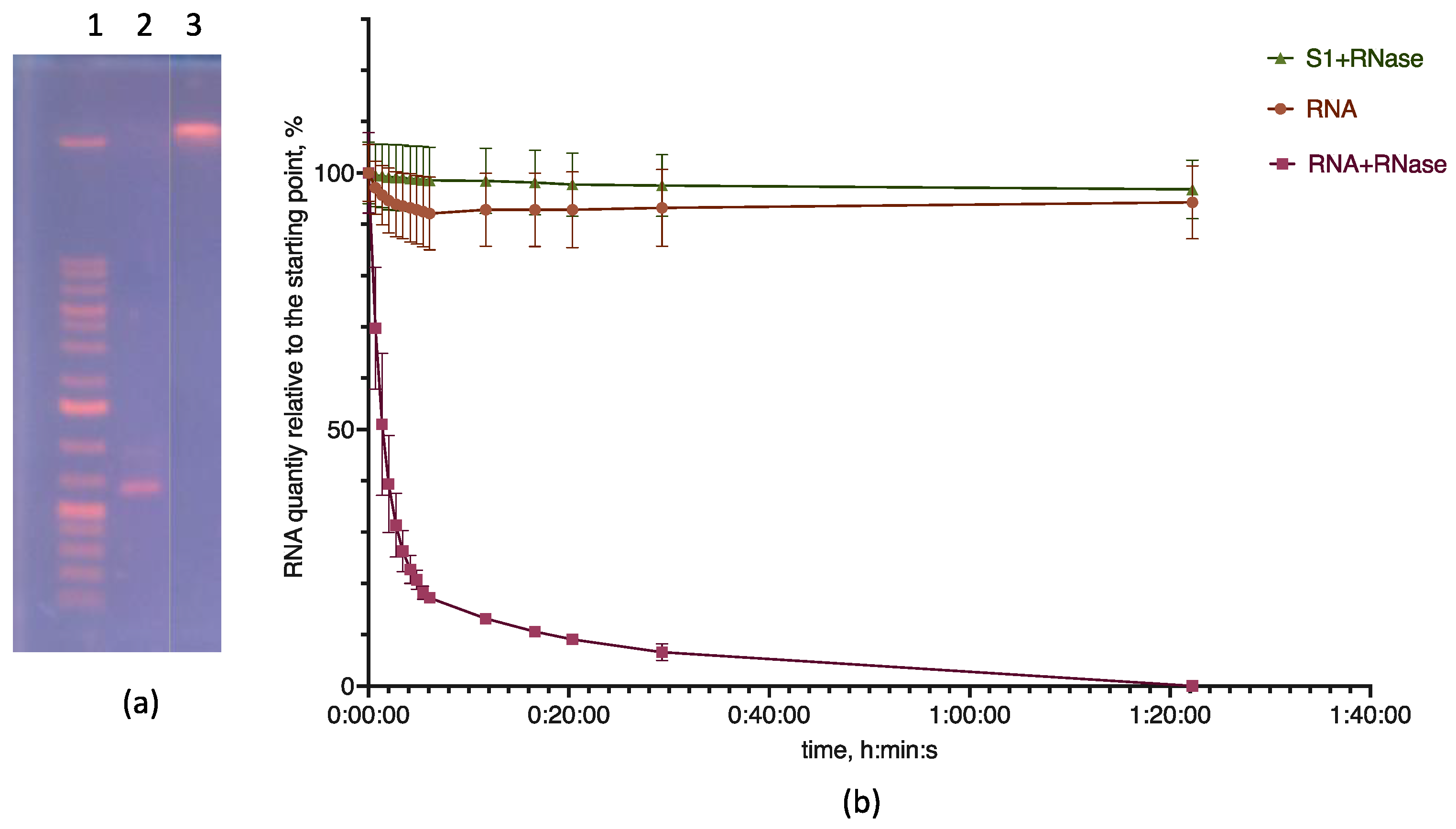 Pharmaceutics 15 01289 g003