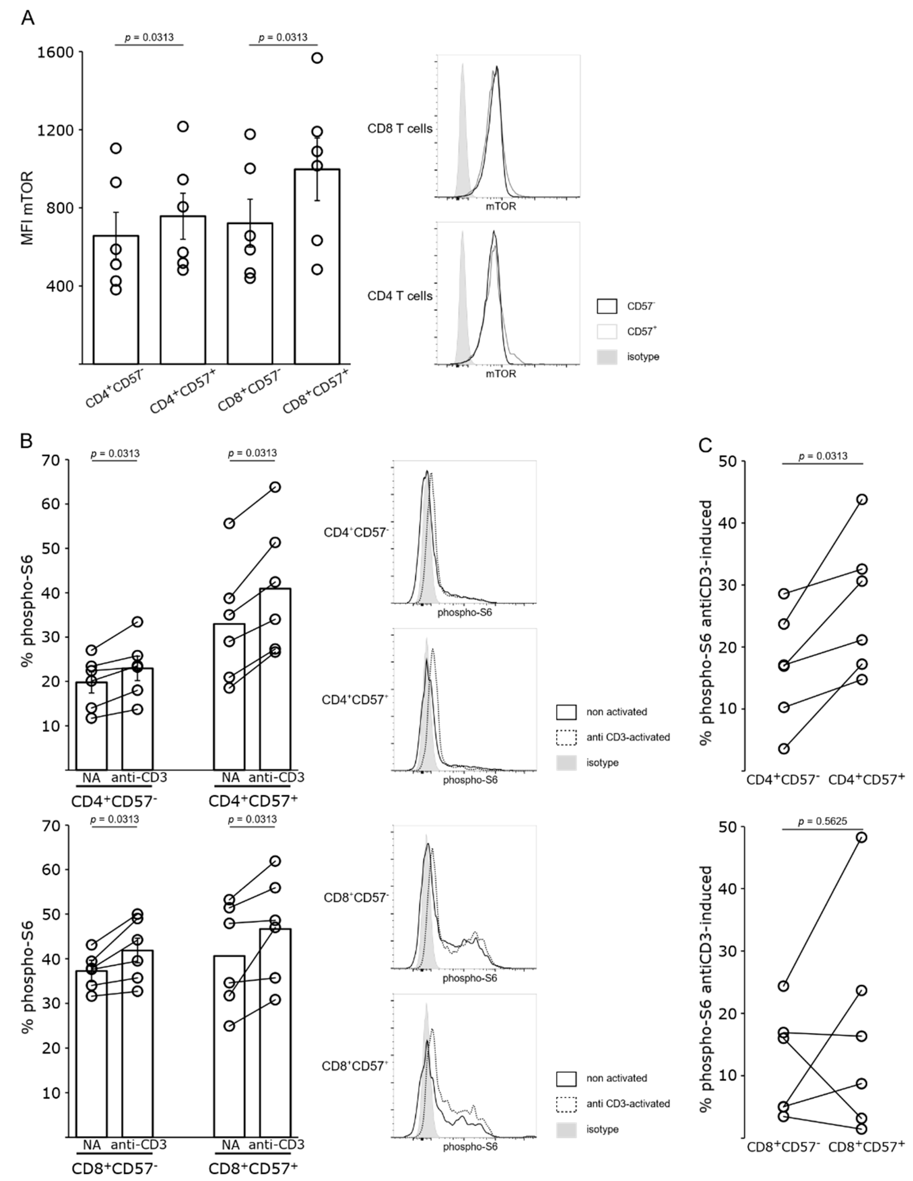 Pharmaceutics 15 01299 g003 Pharmaceutics 15 01299 g003