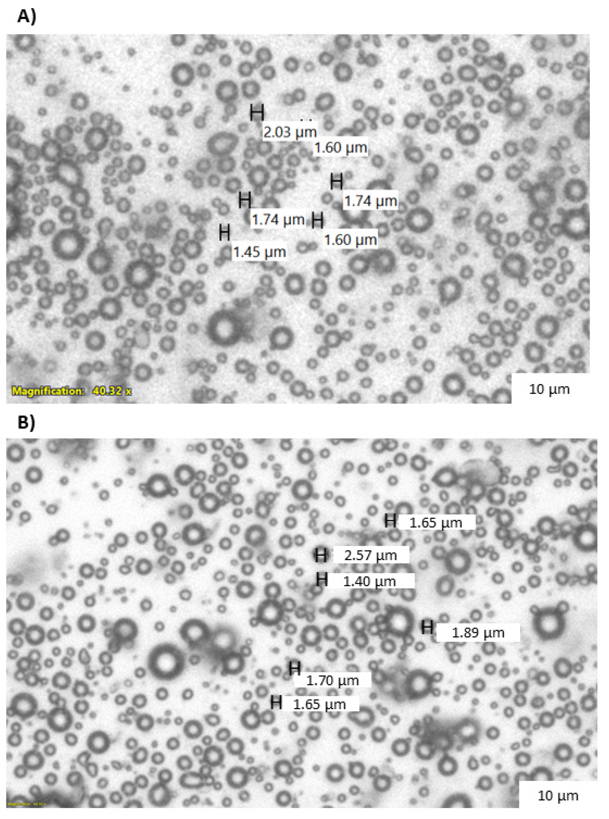 Pharmaceutics 15 01302 g001