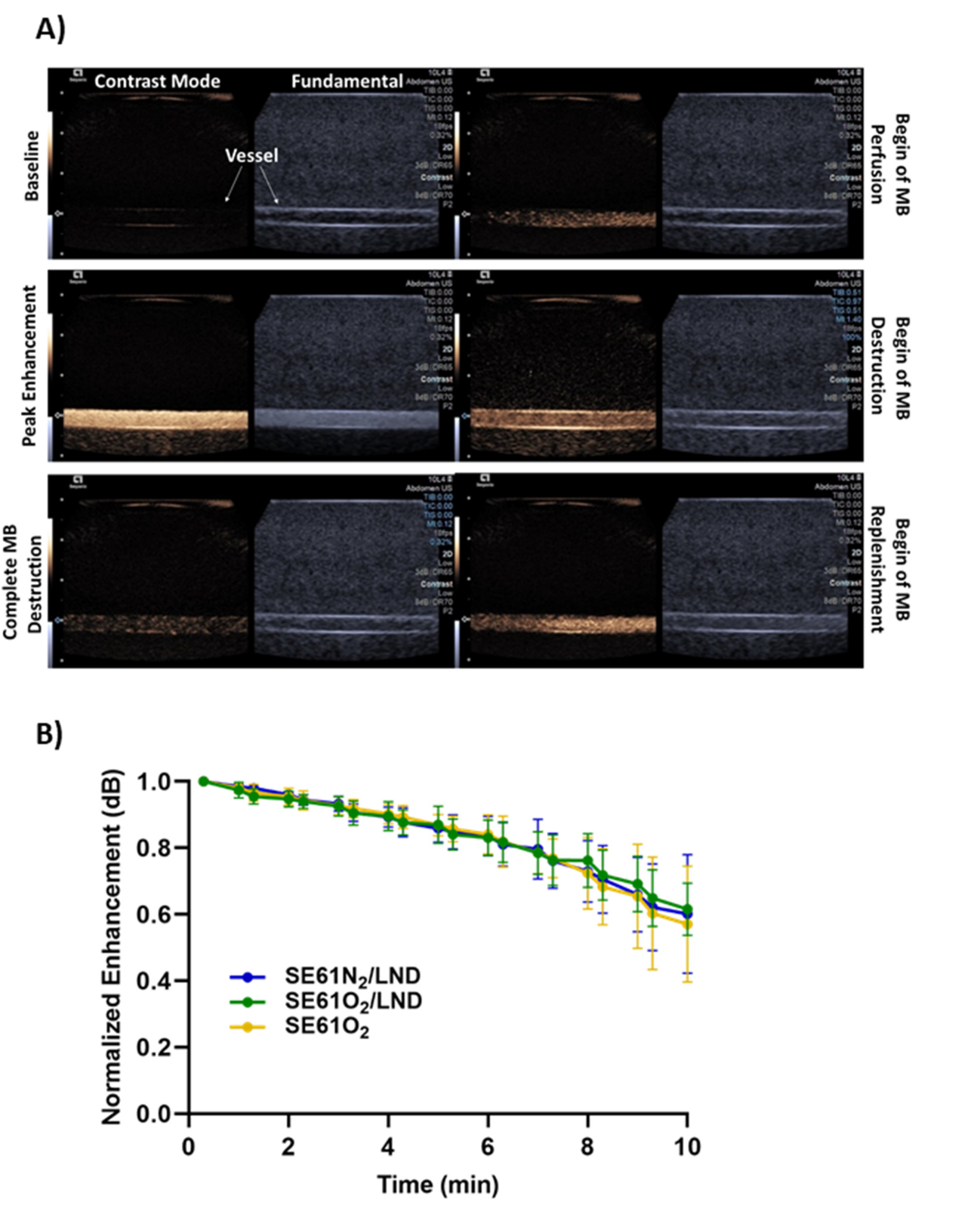 Pharmaceutics 15 01302 g002