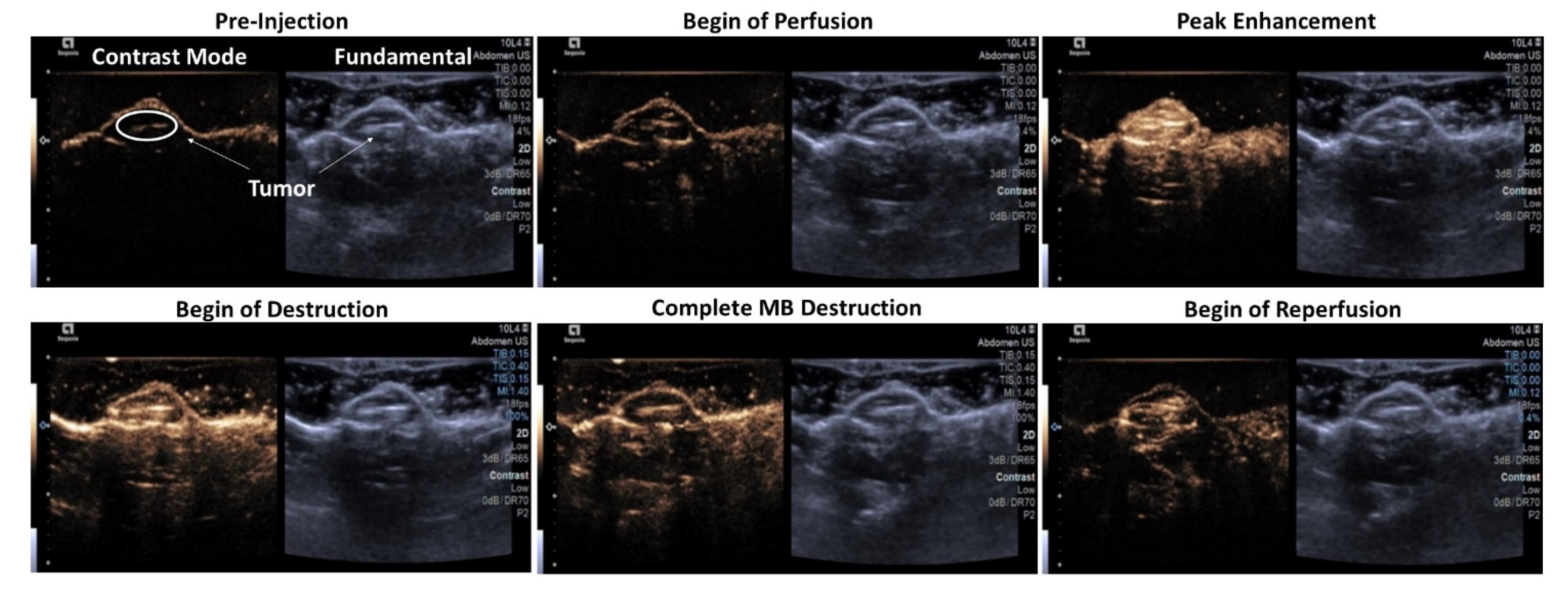 Pharmaceutics 15 01302 g003