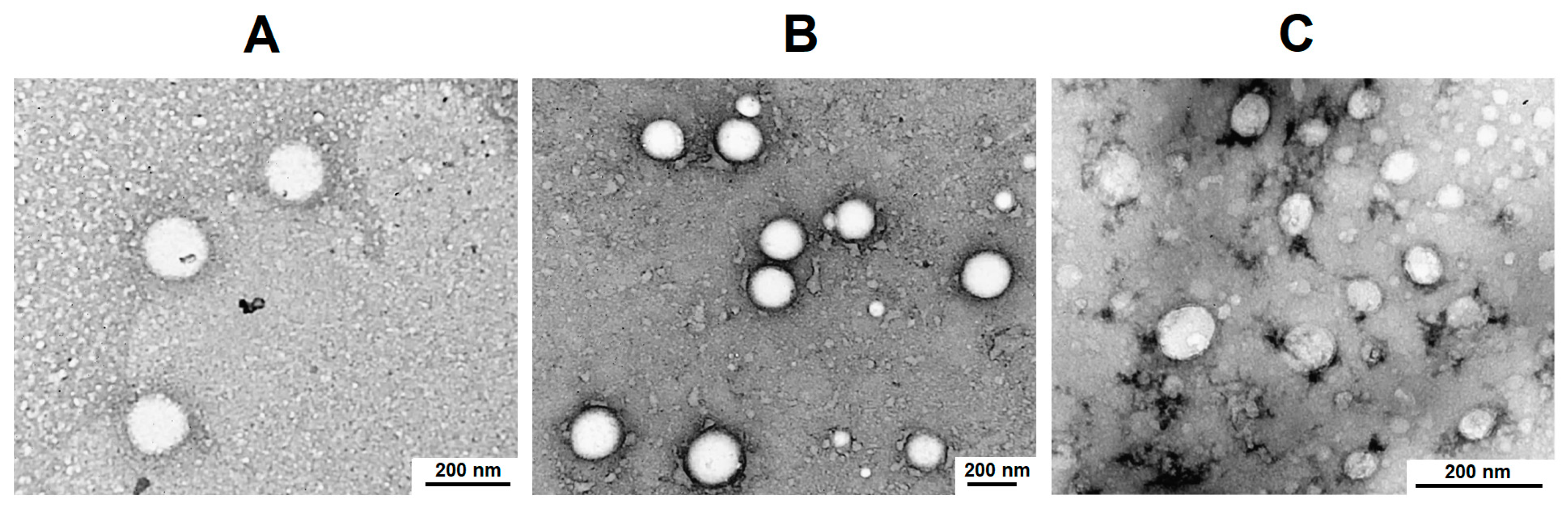 Pharmaceutics 15 01308 g006 Pharmaceutics 15 01308 g006