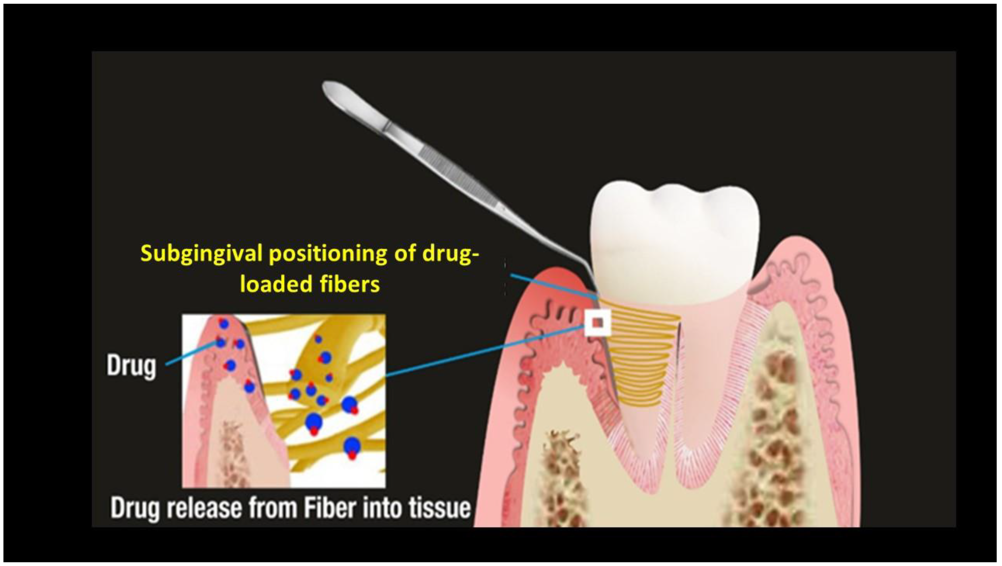 Pharmaceutics 15 01312 g002