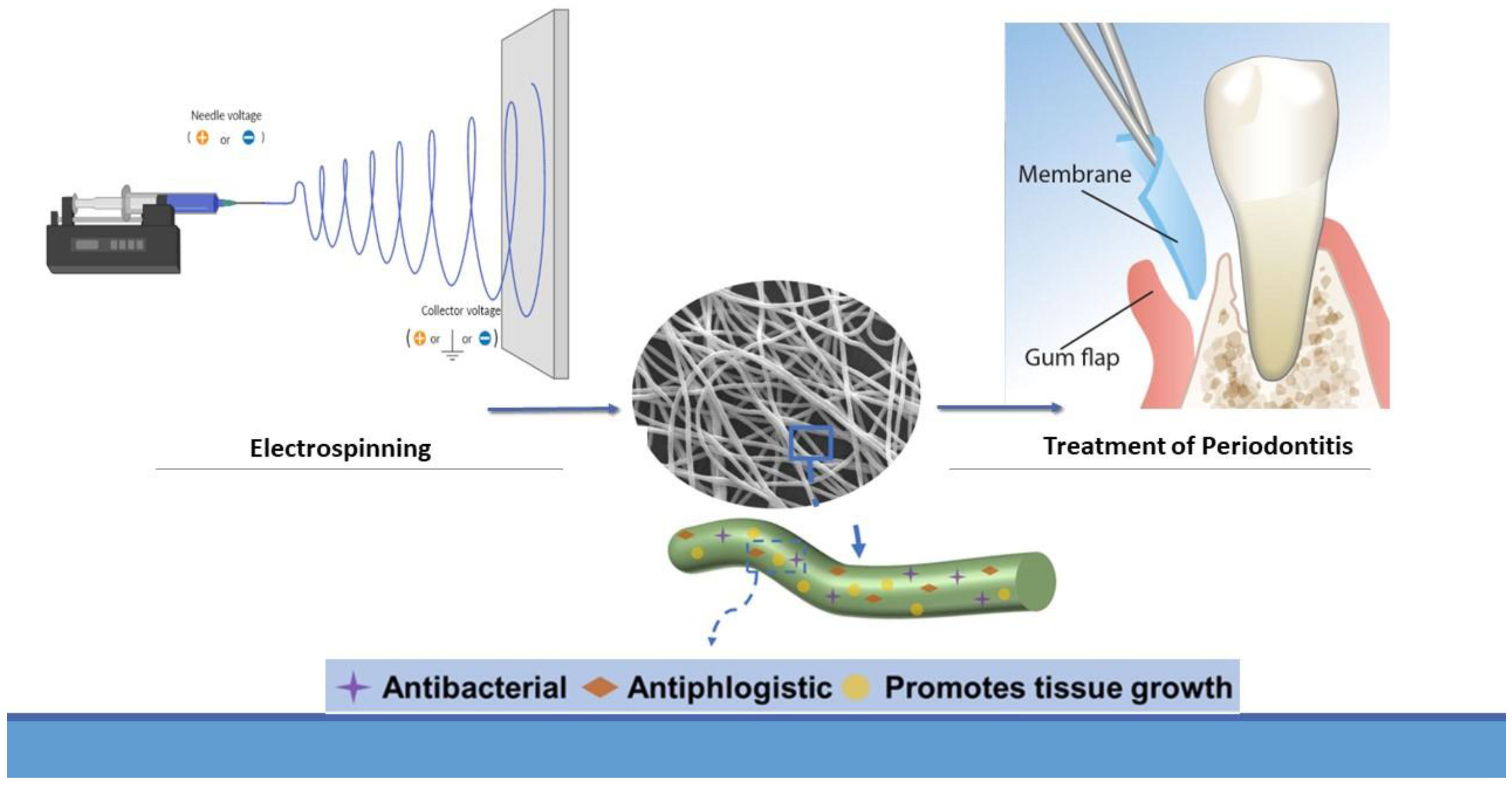 Pharmaceutics 15 01312 g003