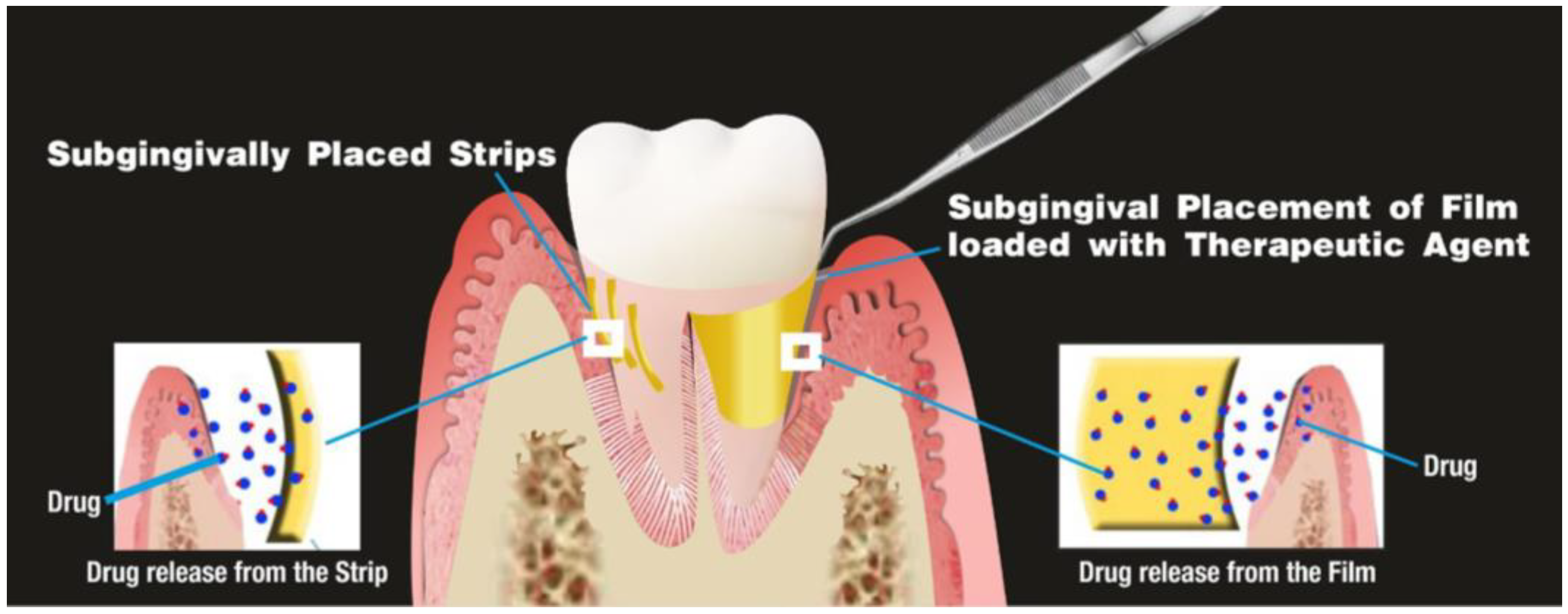 Pharmaceutics 15 01312 g004
