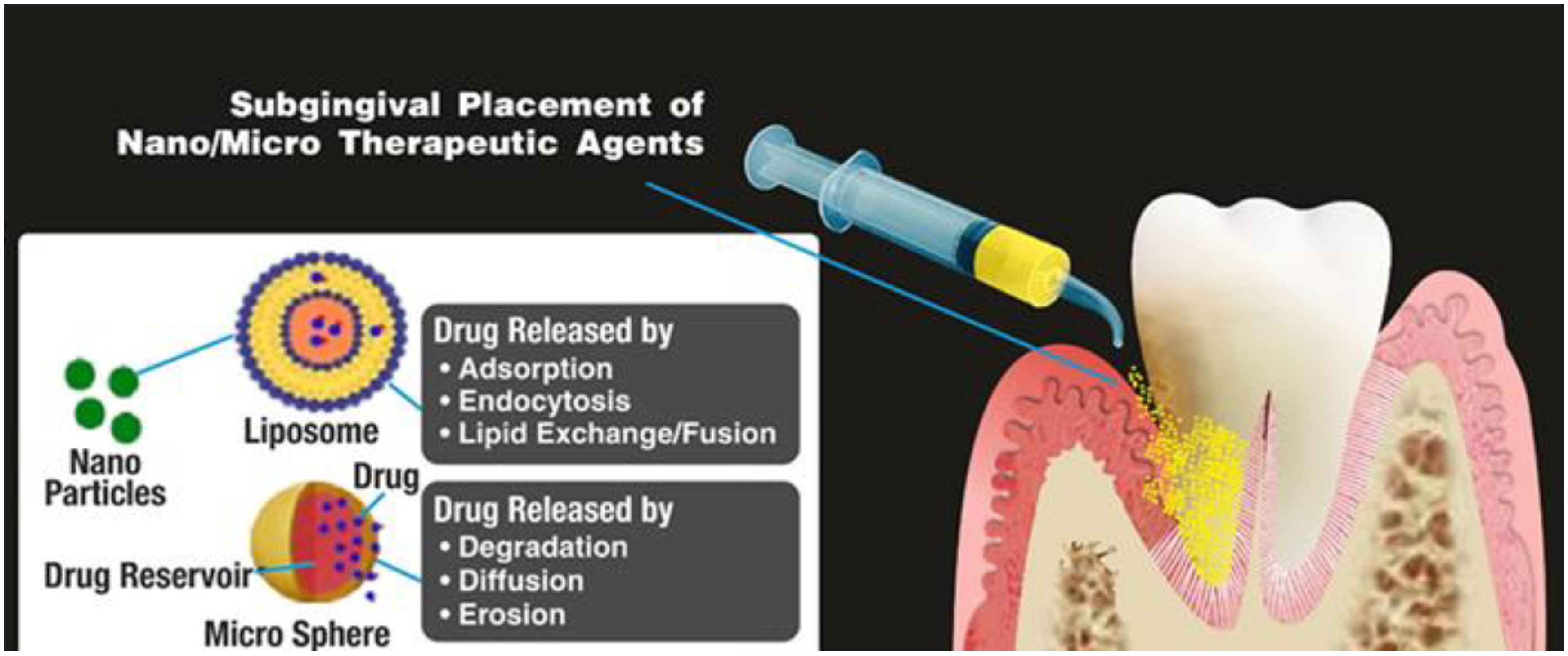 Pharmaceutics 15 01312 g005