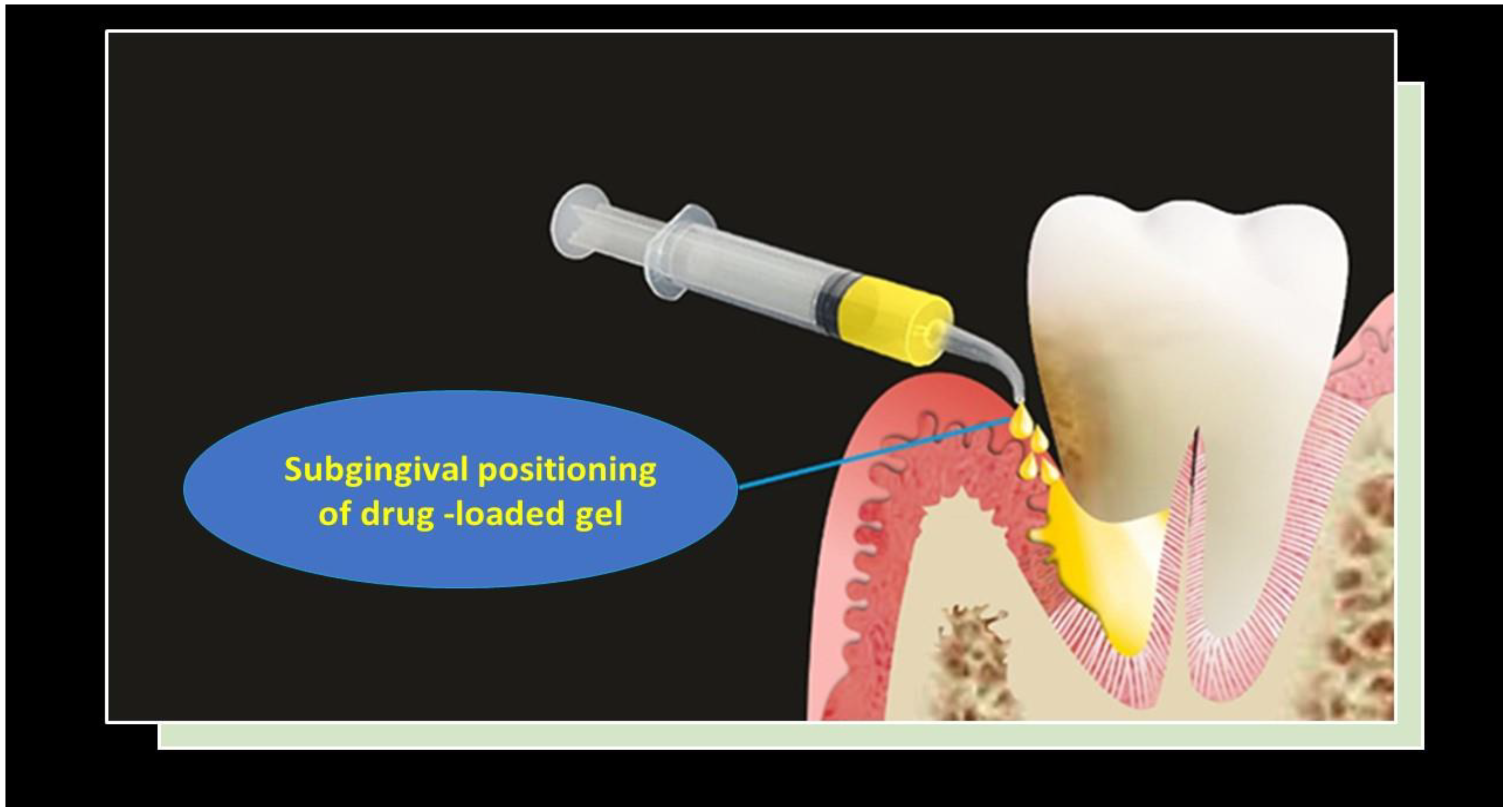 Pharmaceutics 15 01312 g006