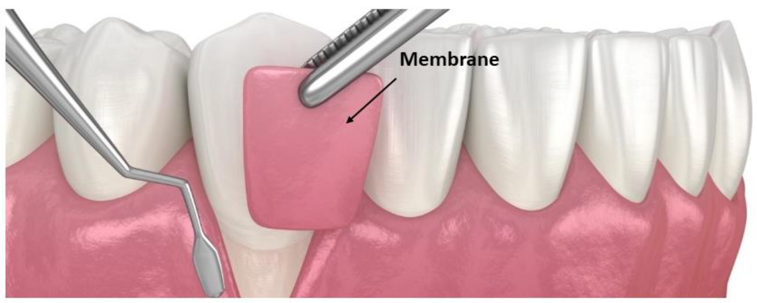 Pharmaceutics 15 01312 g007