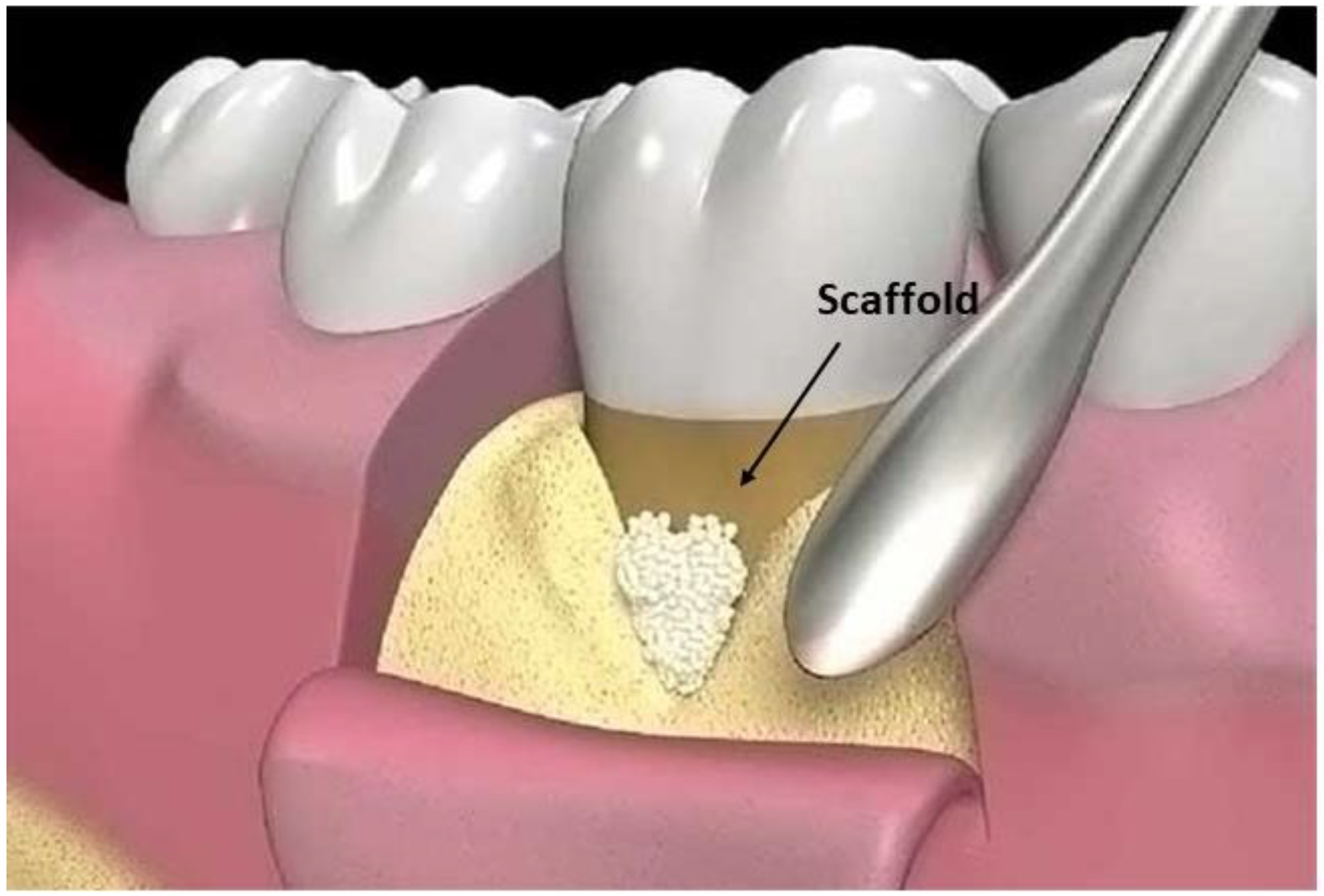Pharmaceutics 15 01312 g008