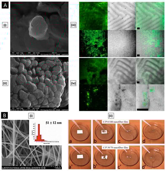 Pharmaceutics 15 01313 g004