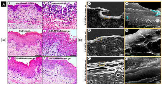 Pharmaceutics 15 01313 g007a