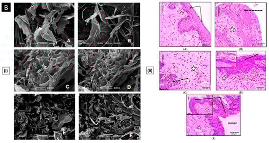 Pharmaceutics 15 01313 g007b