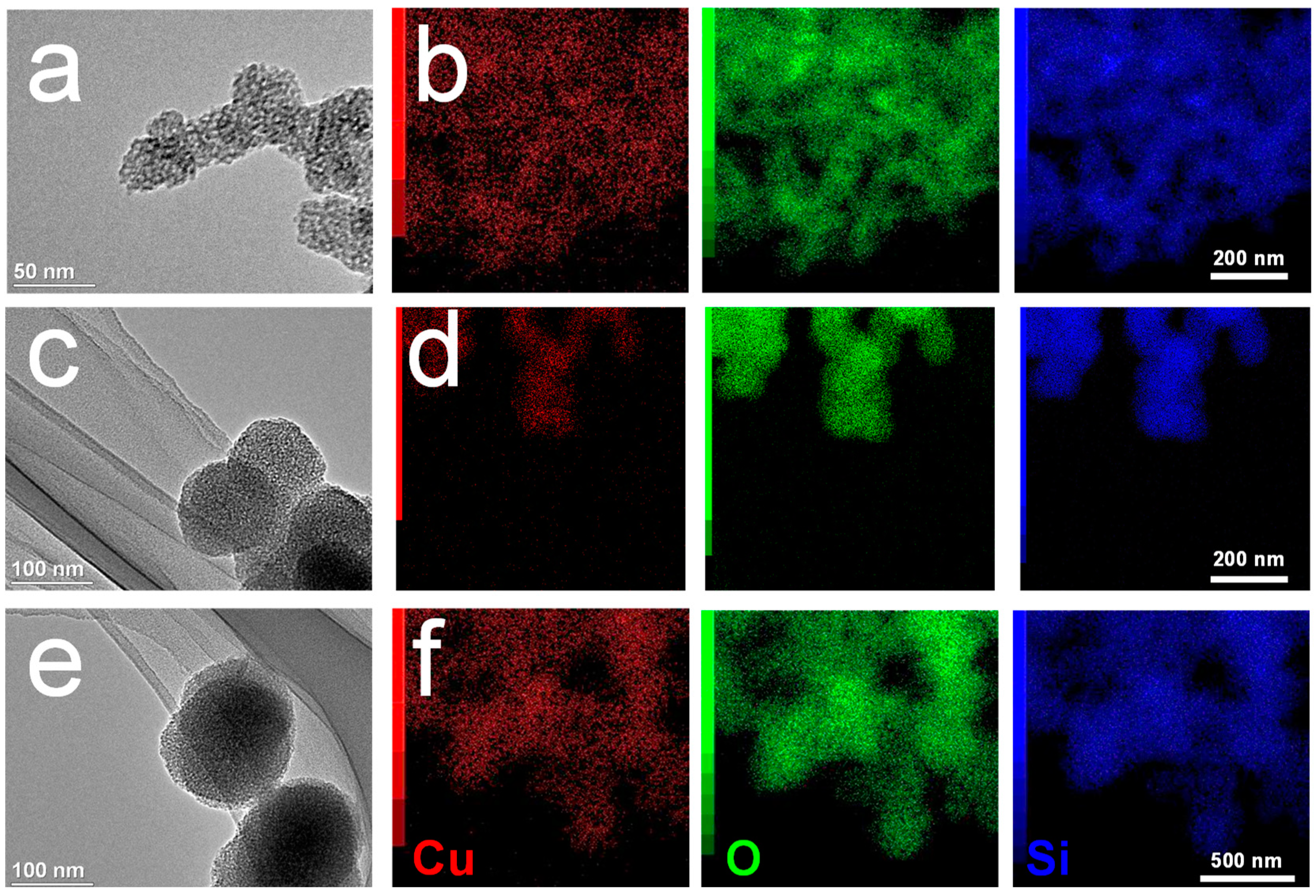 Pharmaceutics 15 01316 g001