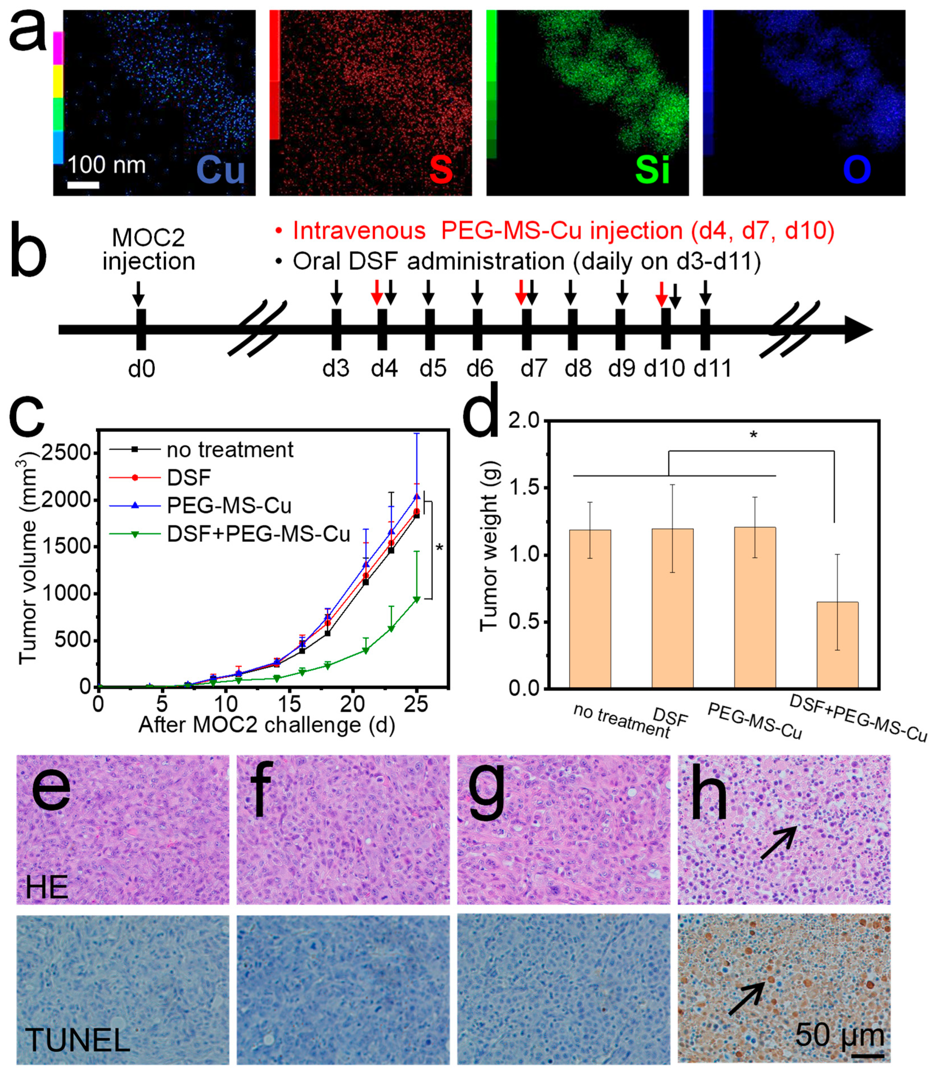 Pharmaceutics 15 01316 g004
