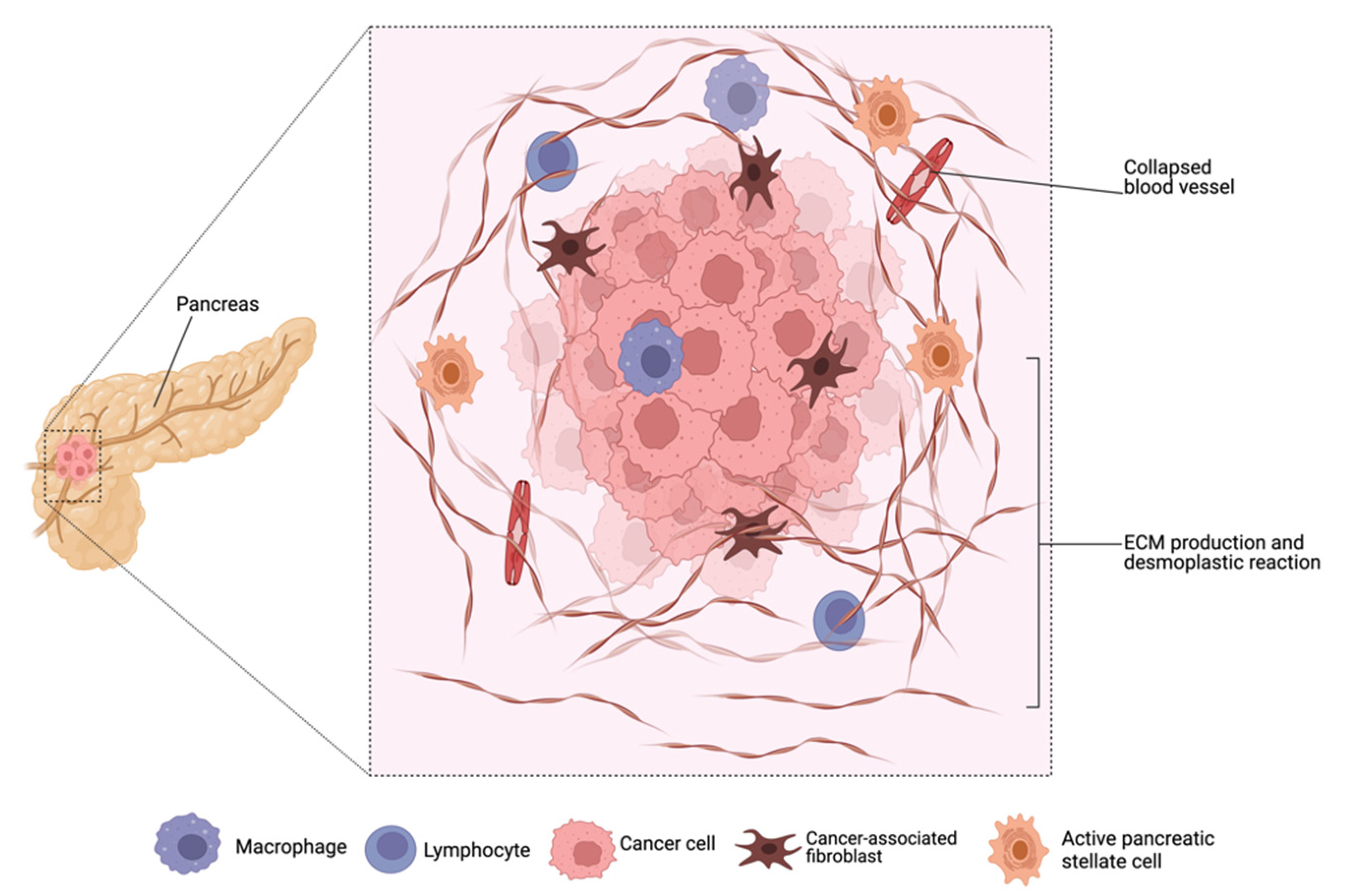 Pharmaceutics 15 01318 g002