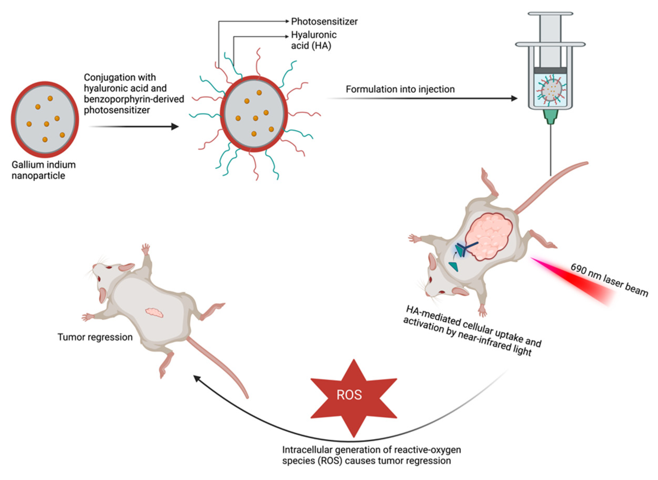 Pharmaceutics 15 01318 g004