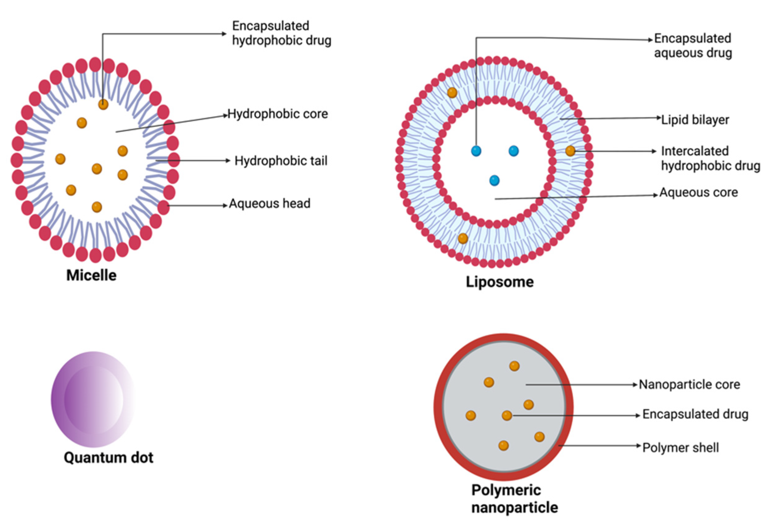 Pharmaceutics 15 01318 g005