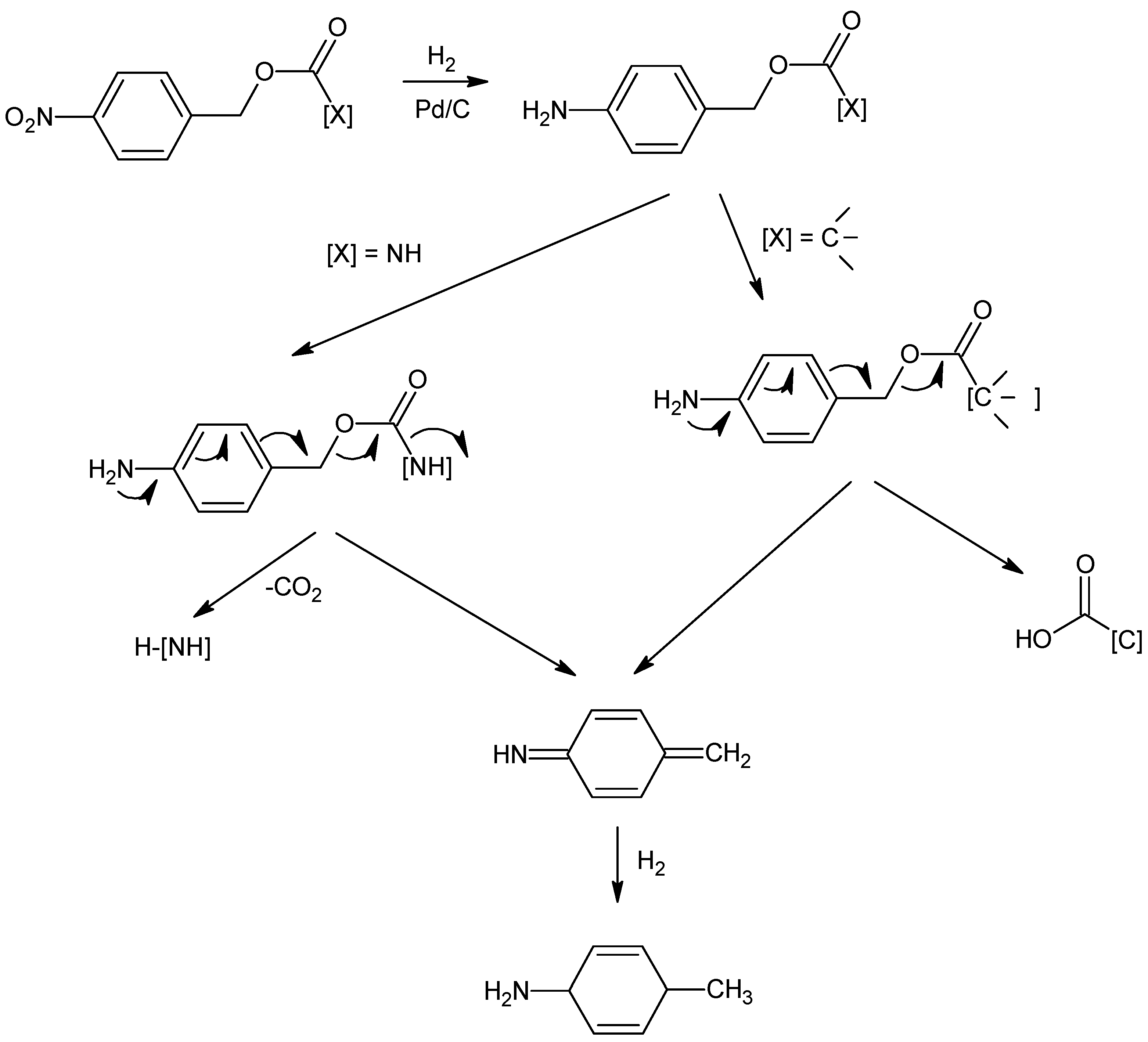 Pharmaceutics 15 01322 g002