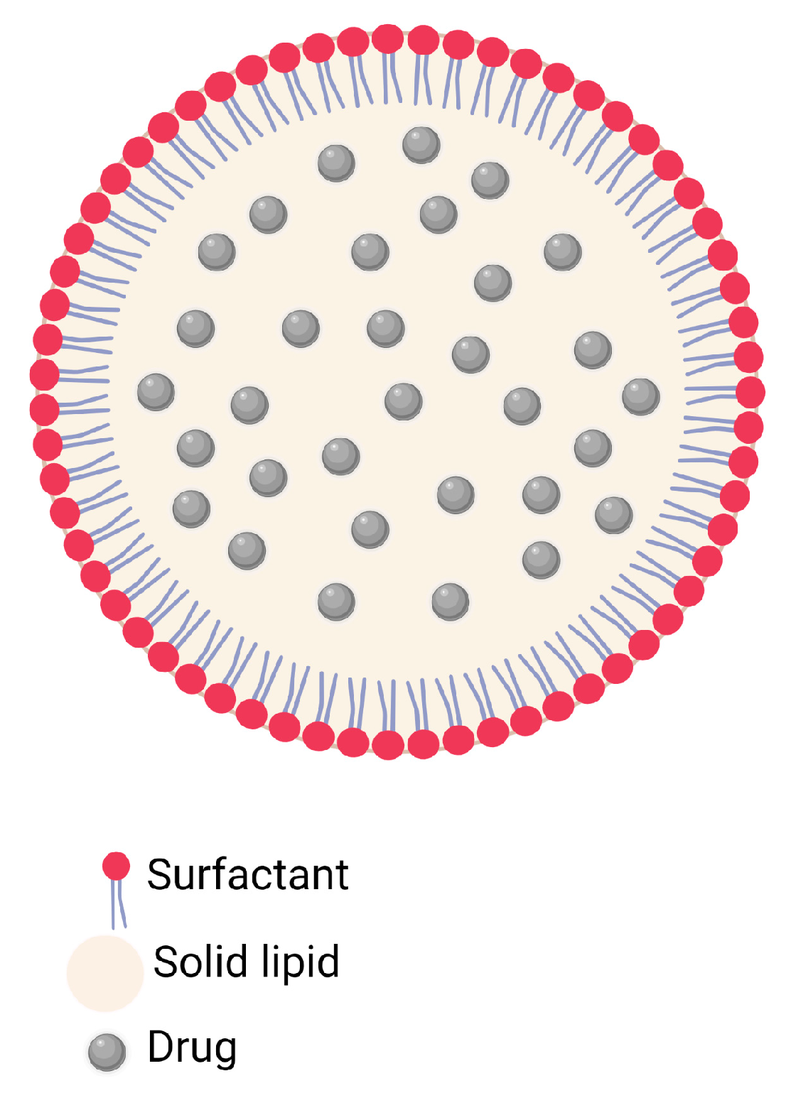 Pharmaceutics 15 01333 g002 Pharmaceutics 15 01333 g002