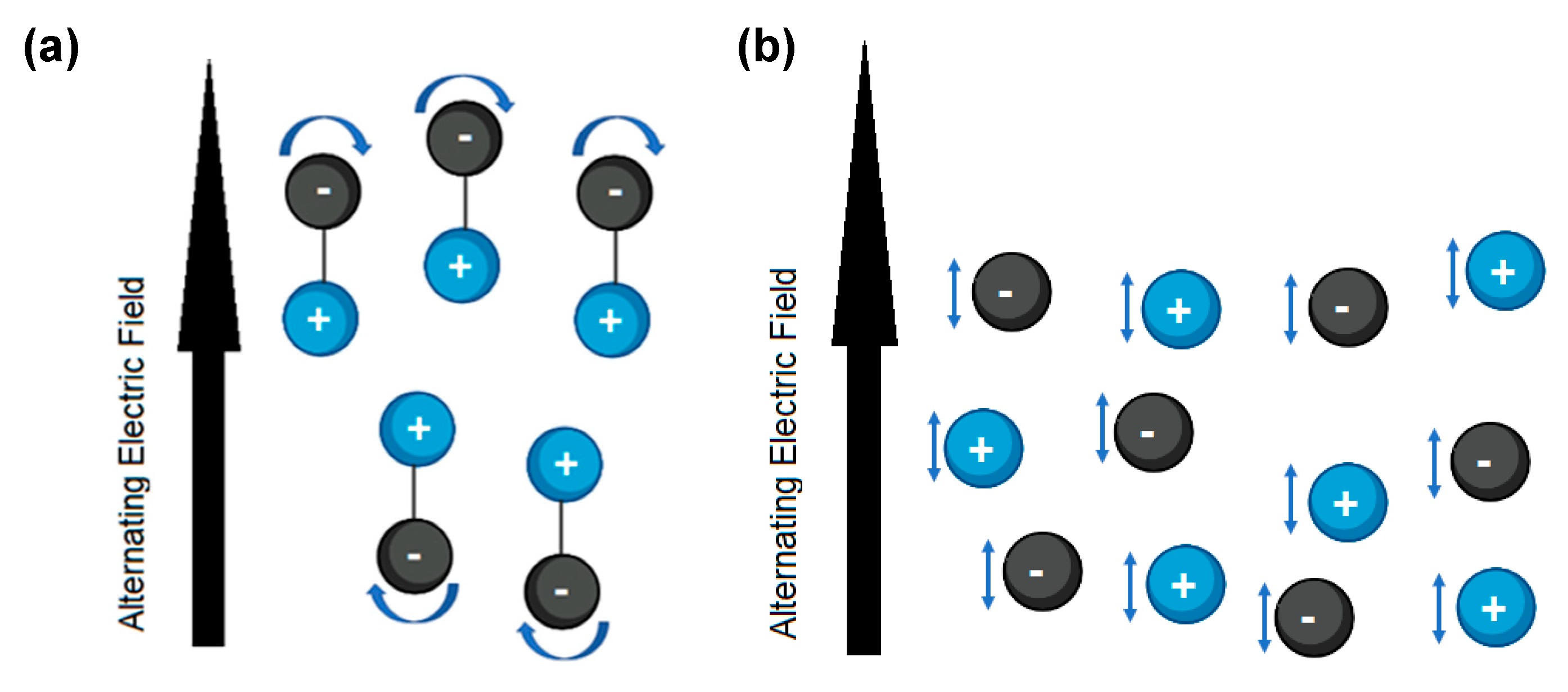 Pharmaceutics 15 01333 g007 Pharmaceutics 15 01333 g007