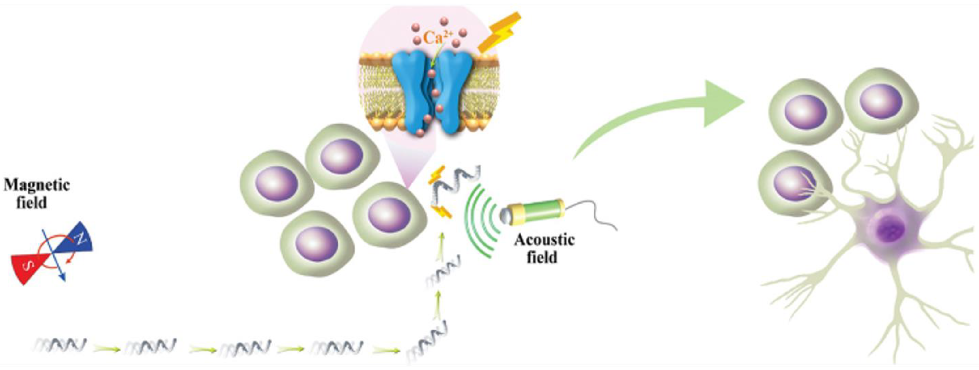 Pharmaceutics 15 01338 g001 Pharmaceutics 15 01338 g001
