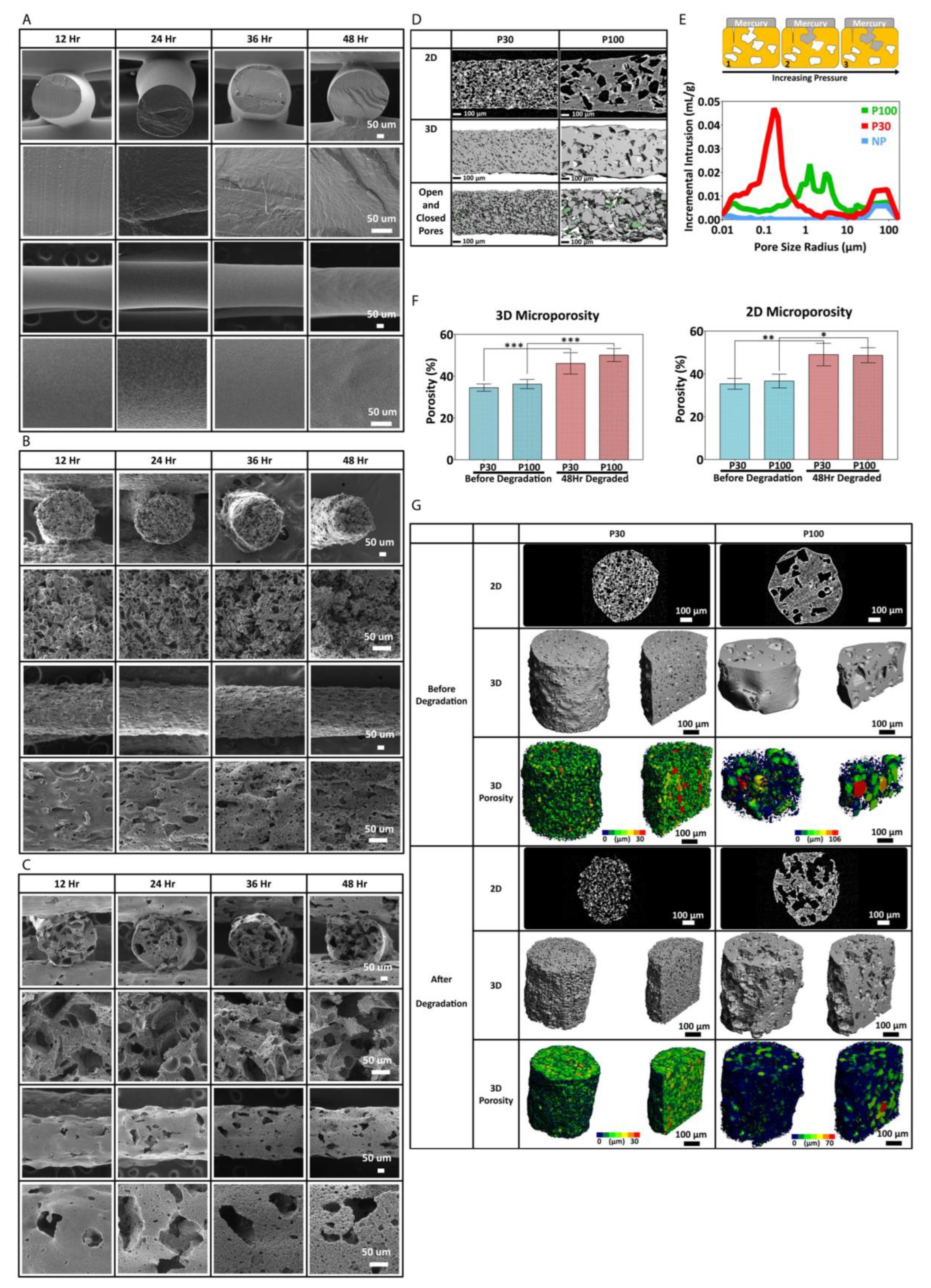Pharmaceutics 15 01340 g006