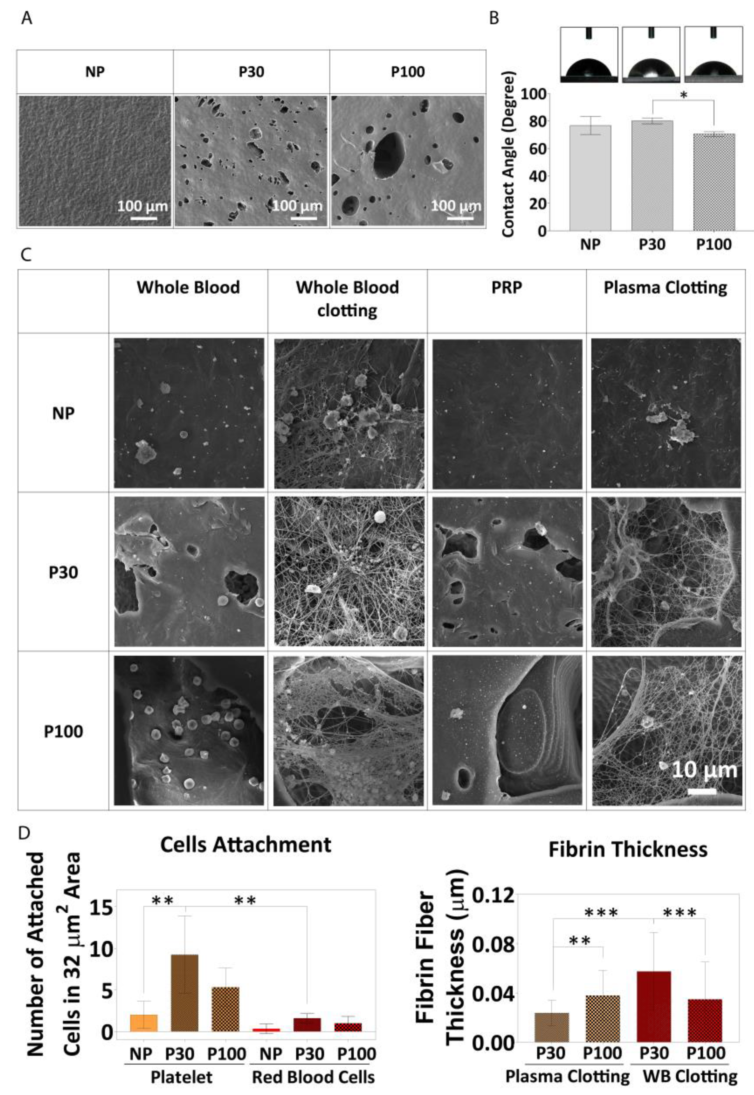 Pharmaceutics 15 01340 g008