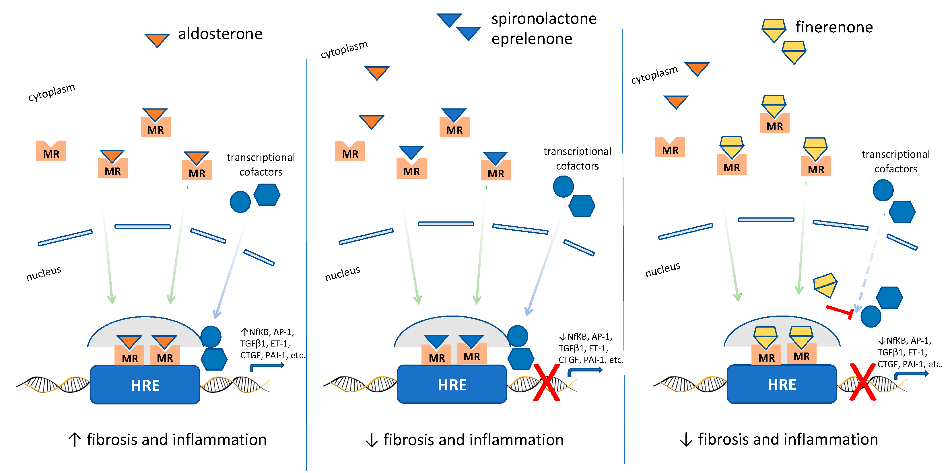 Pharmaceutics 15 01343 g003