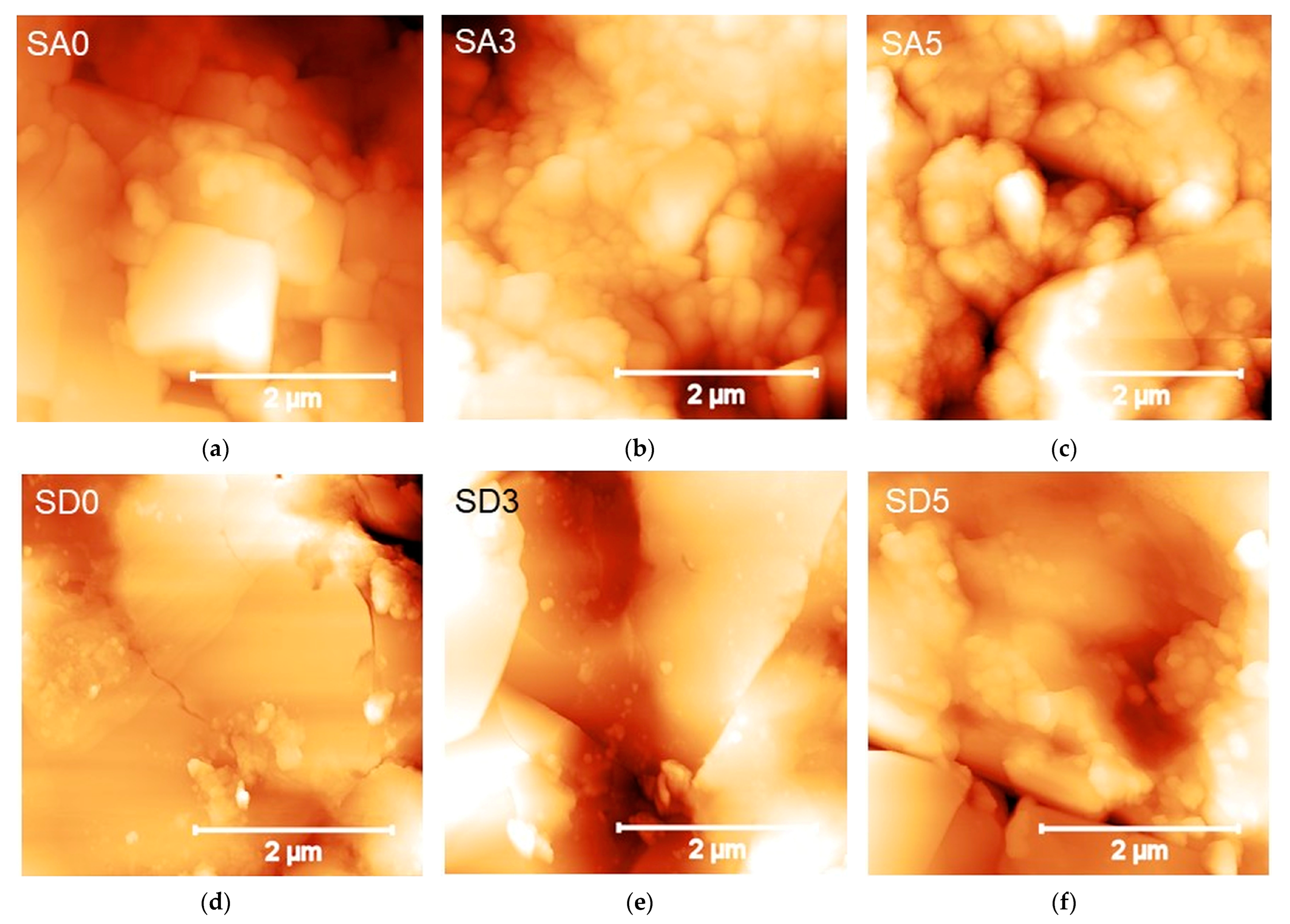 Pharmaceutics 15 01344 g007