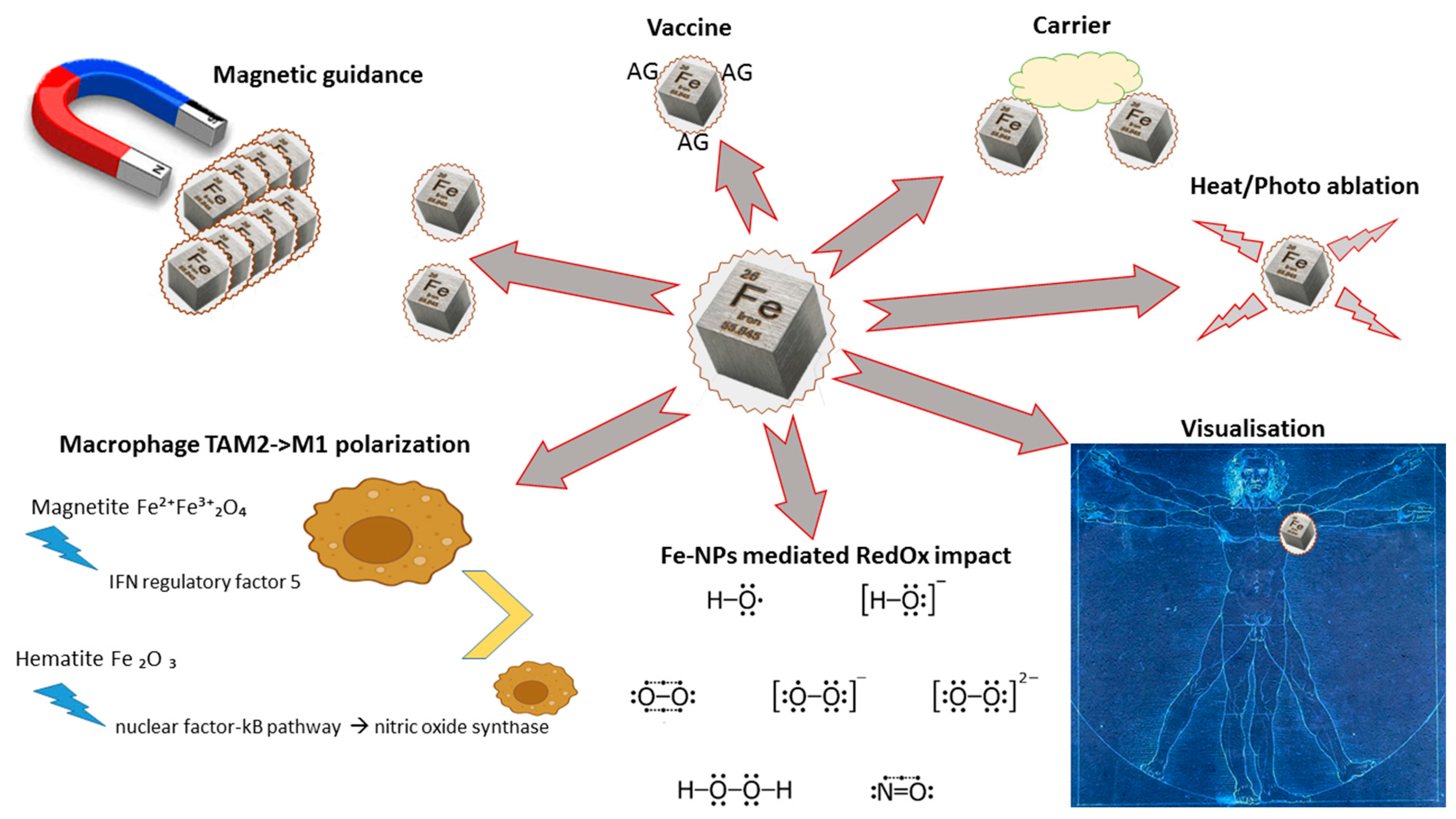 Pharmaceutics 15 01346 g003