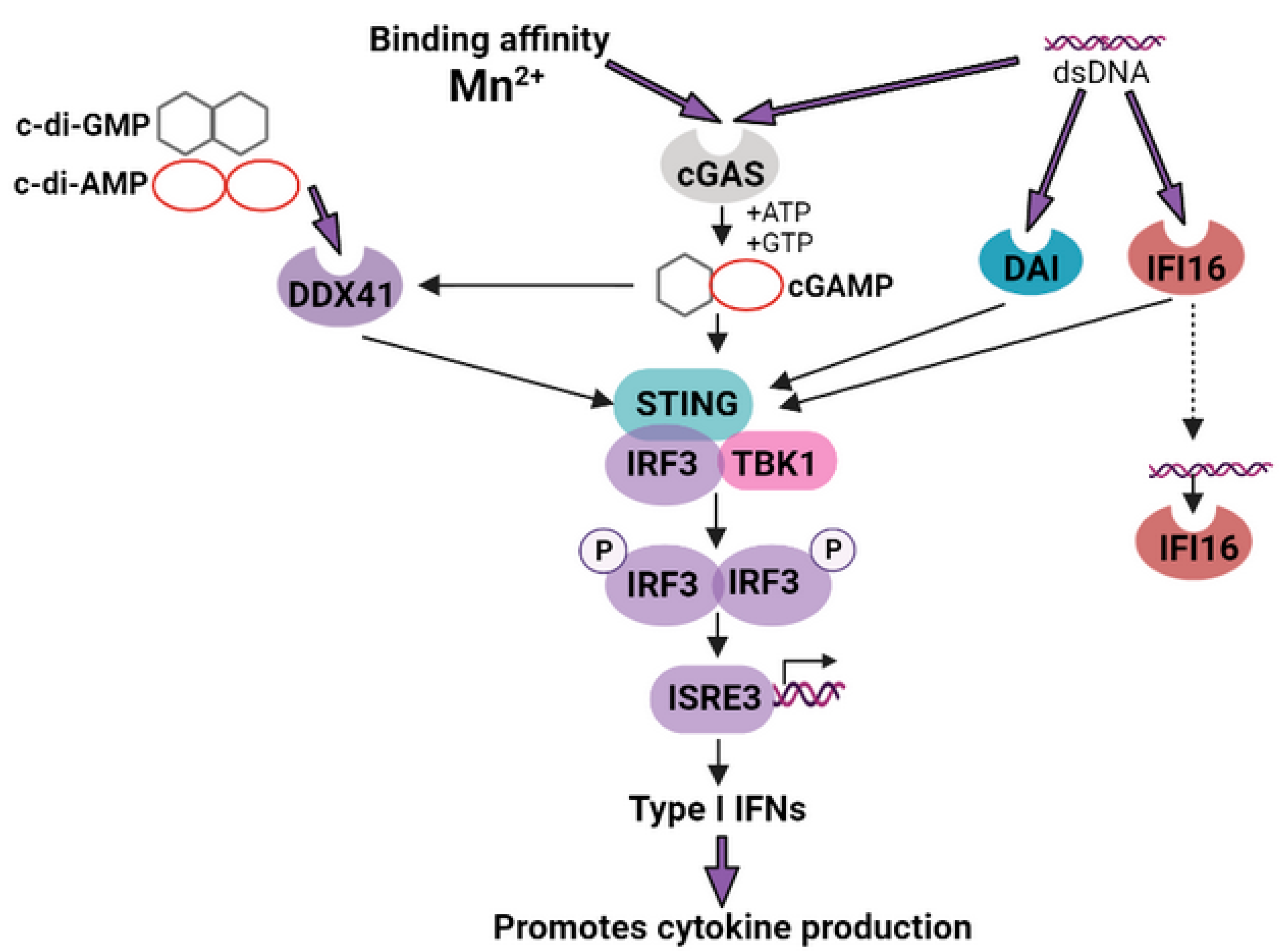 Pharmaceutics 15 01346 g005