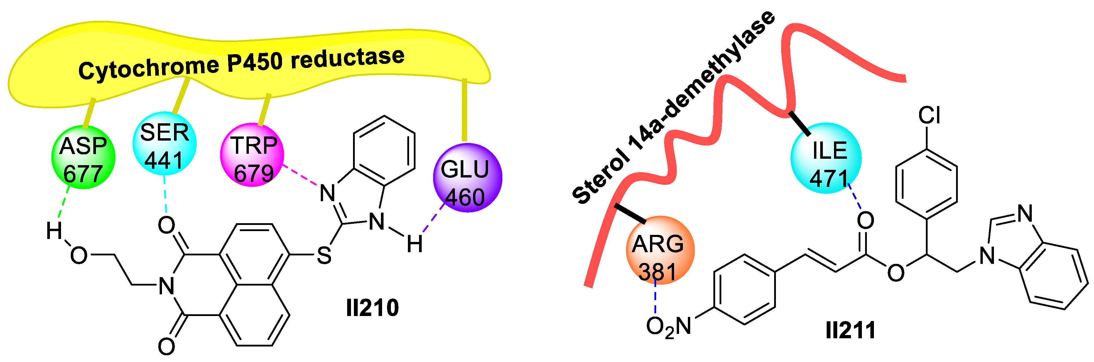 Pharmaceutics 15 01348 i097 Pharmaceutics 15 01348 i097