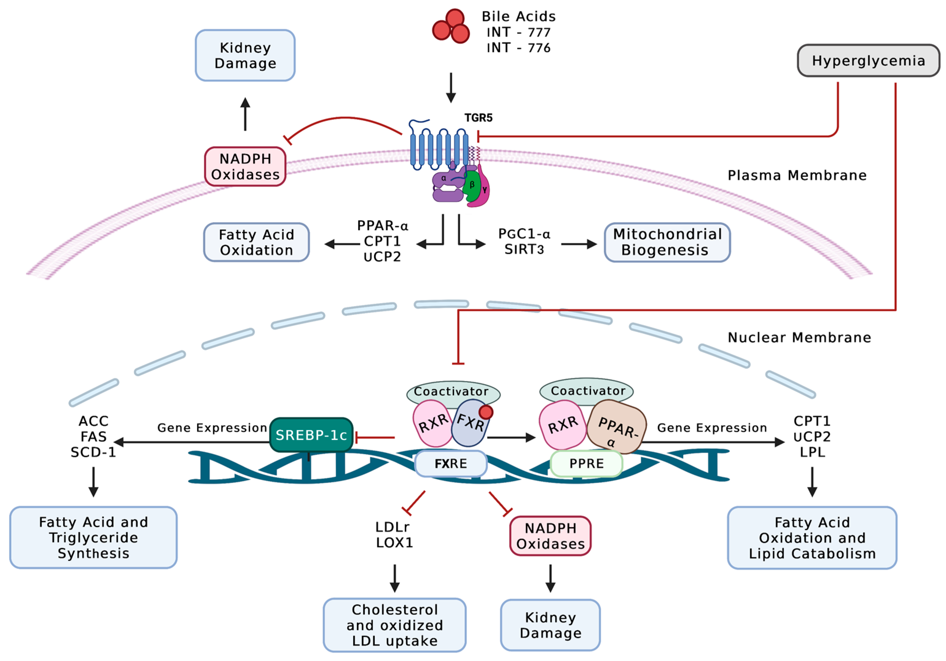 Pharmaceutics 15 01360 g001
