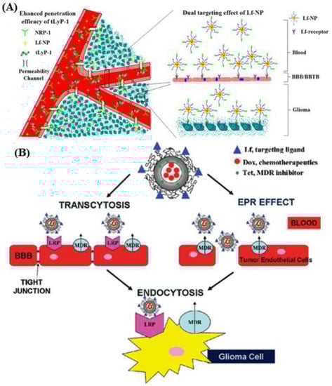 Pharmaceutics 15 01362 g004