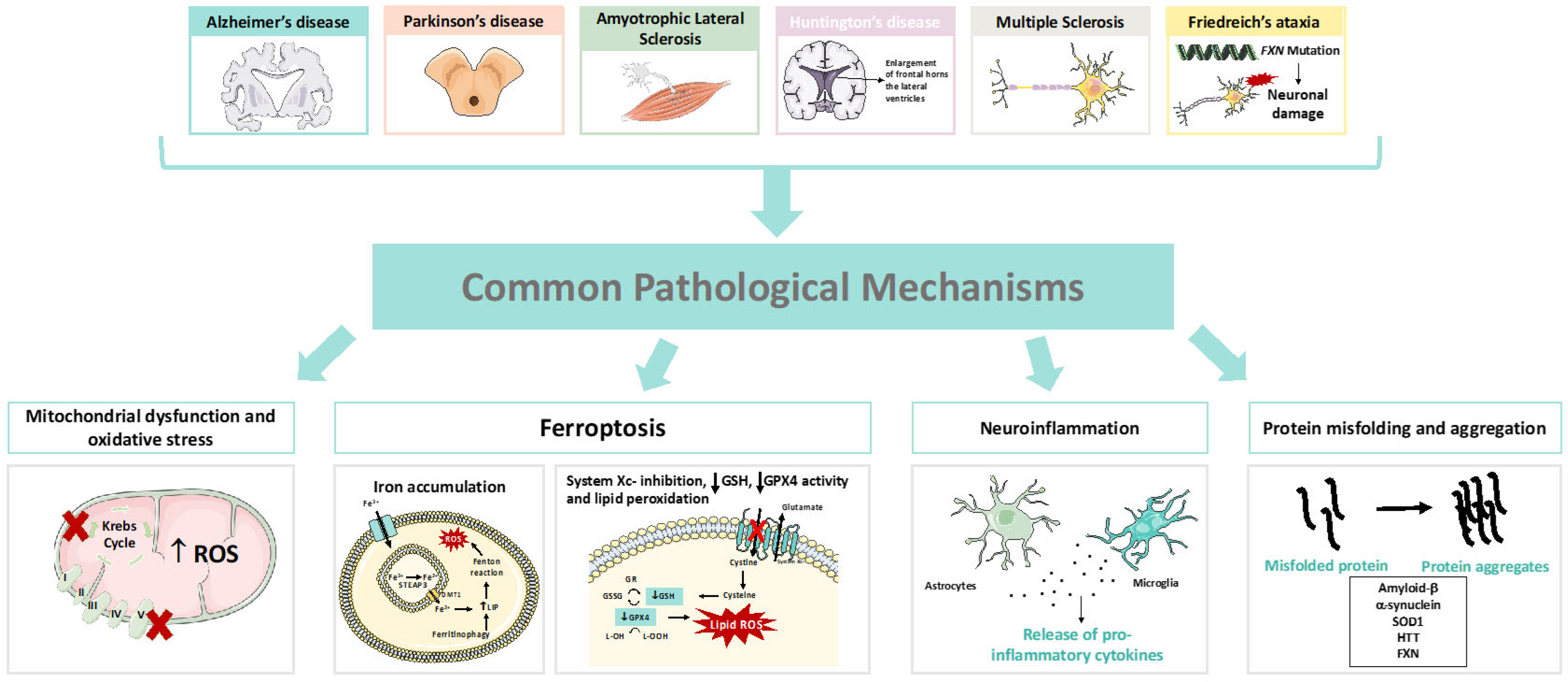 Pharmaceutics 15 01369 g001