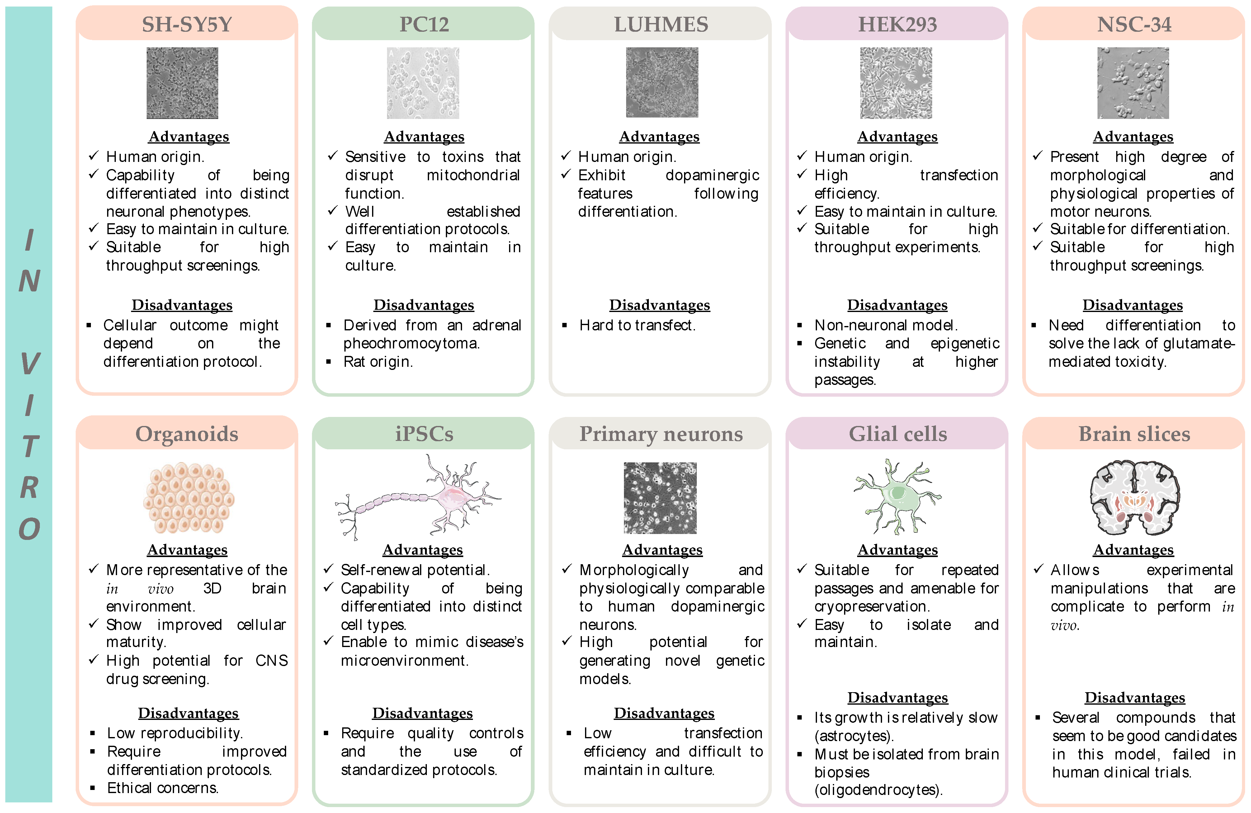Pharmaceutics 15 01369 g004