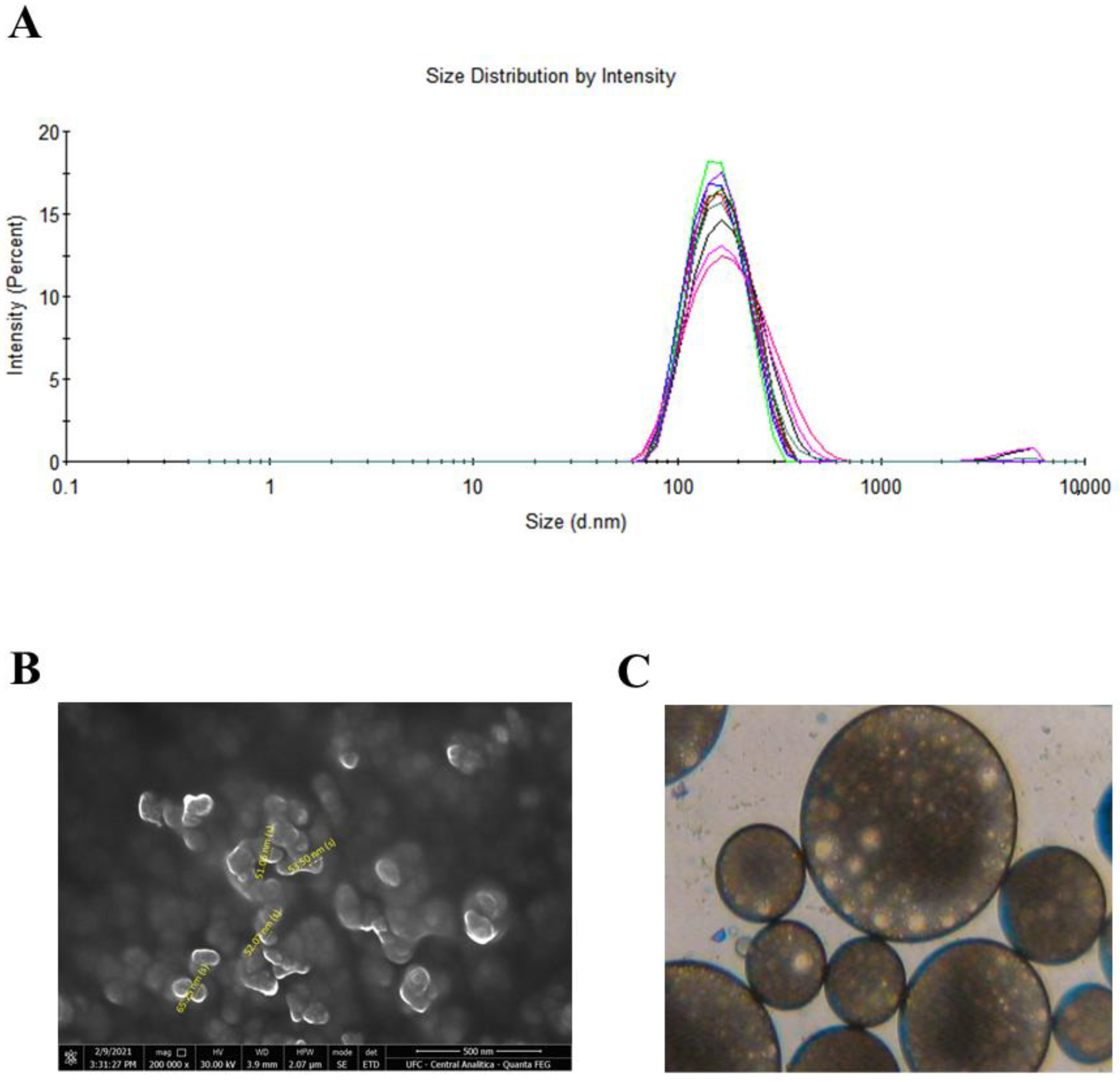 Pharmaceutics 15 01371 g002