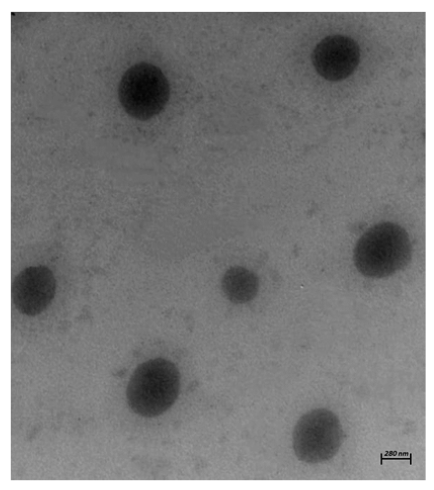 Pharmaceutics 15 01375 g002