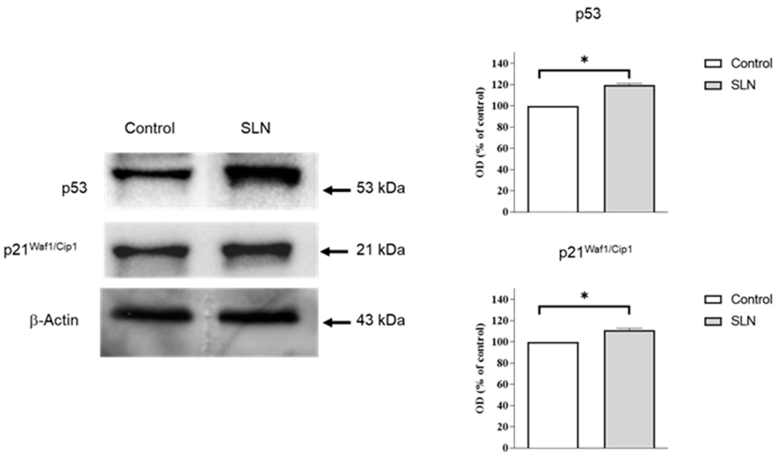 Pharmaceutics 15 01375 g005