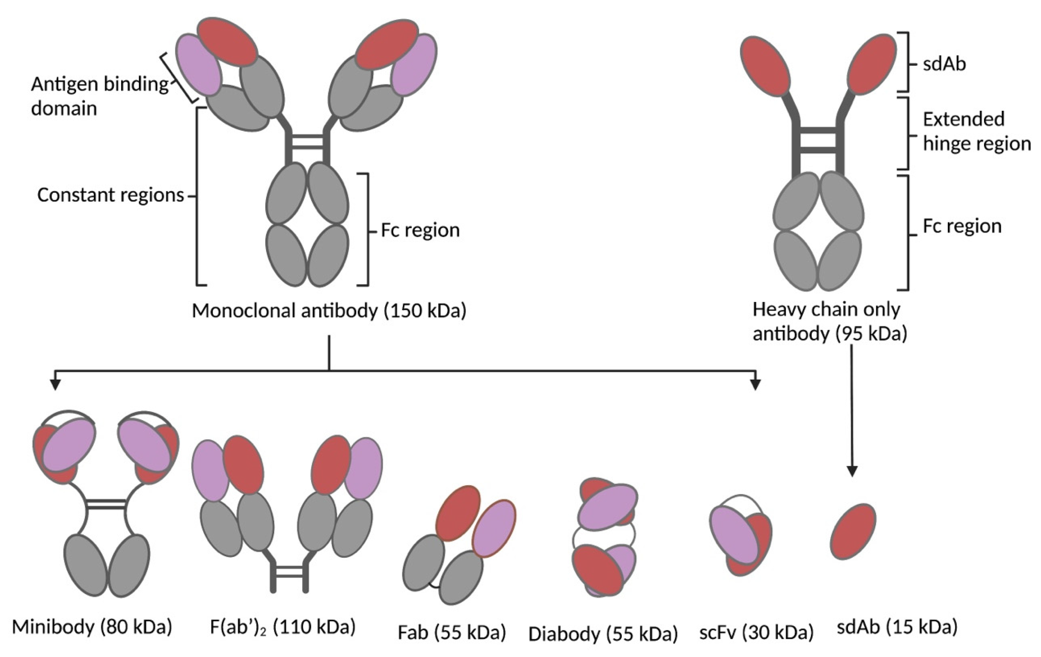 Pharmaceutics 15 01378 g002
