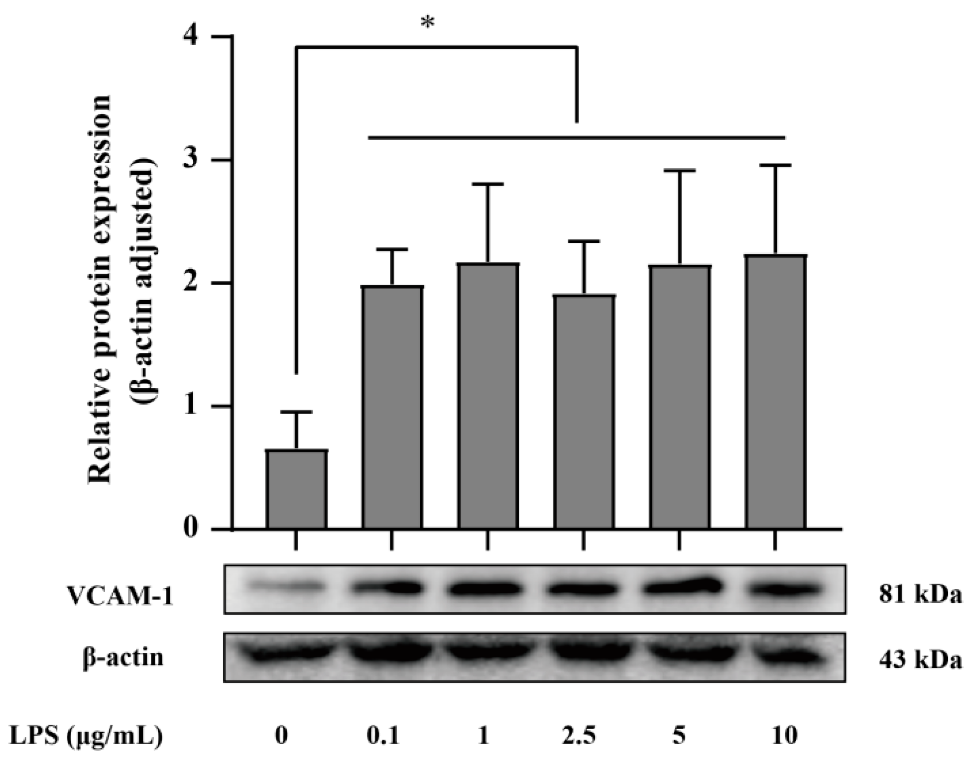 Pharmaceutics 15 01379 g001