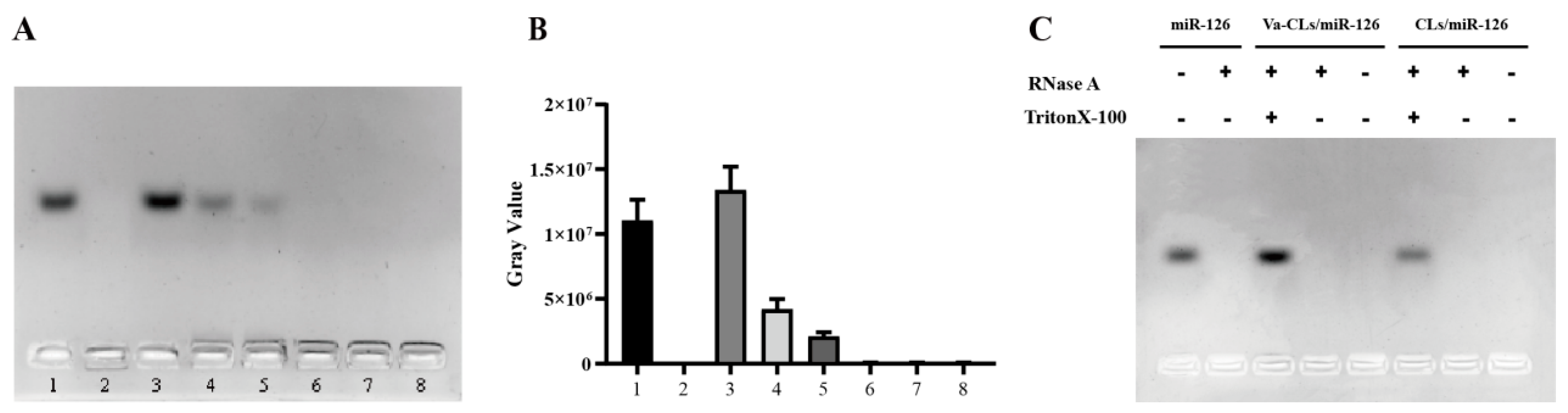 Pharmaceutics 15 01379 g003
