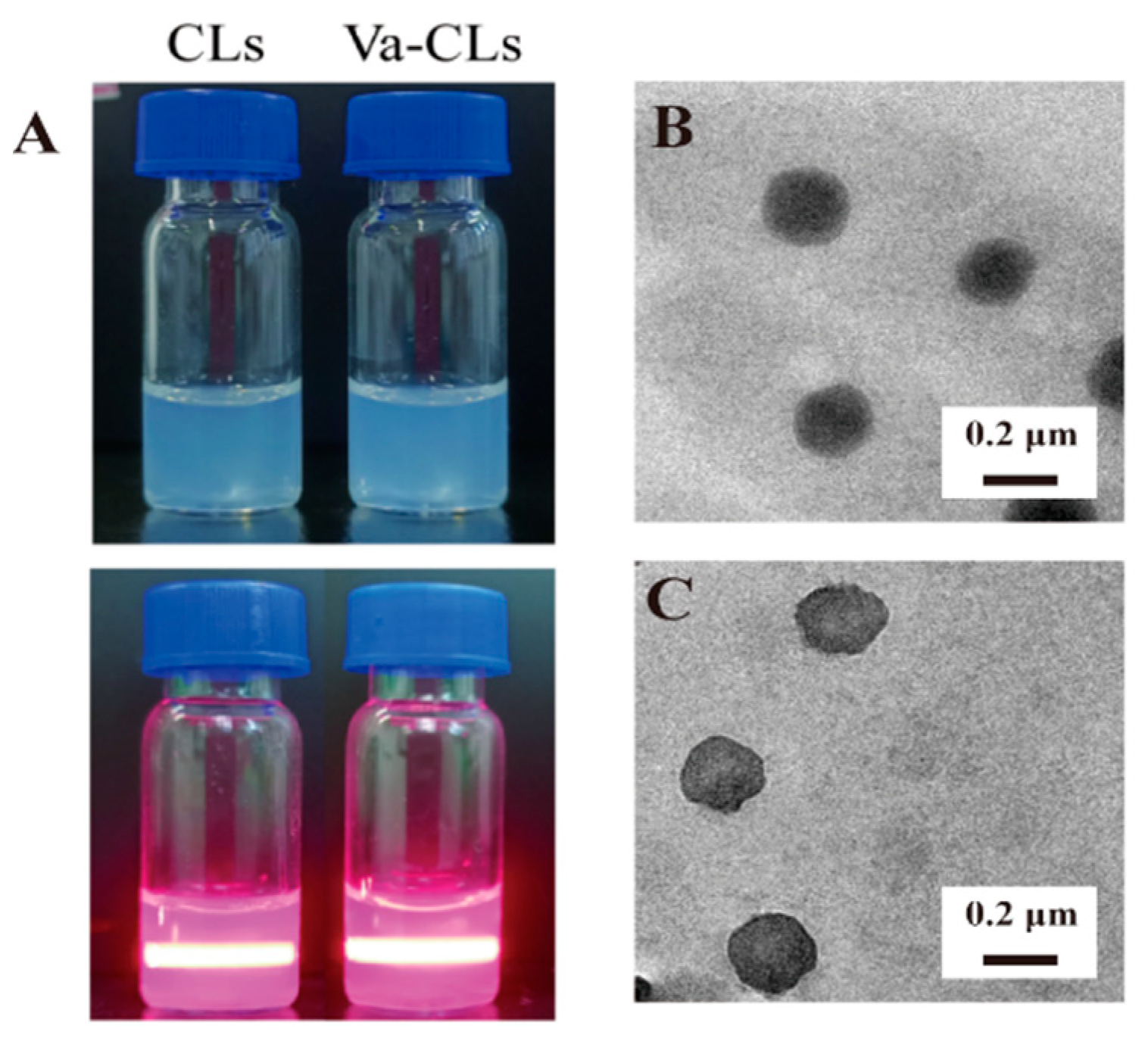 Pharmaceutics 15 01379 g004