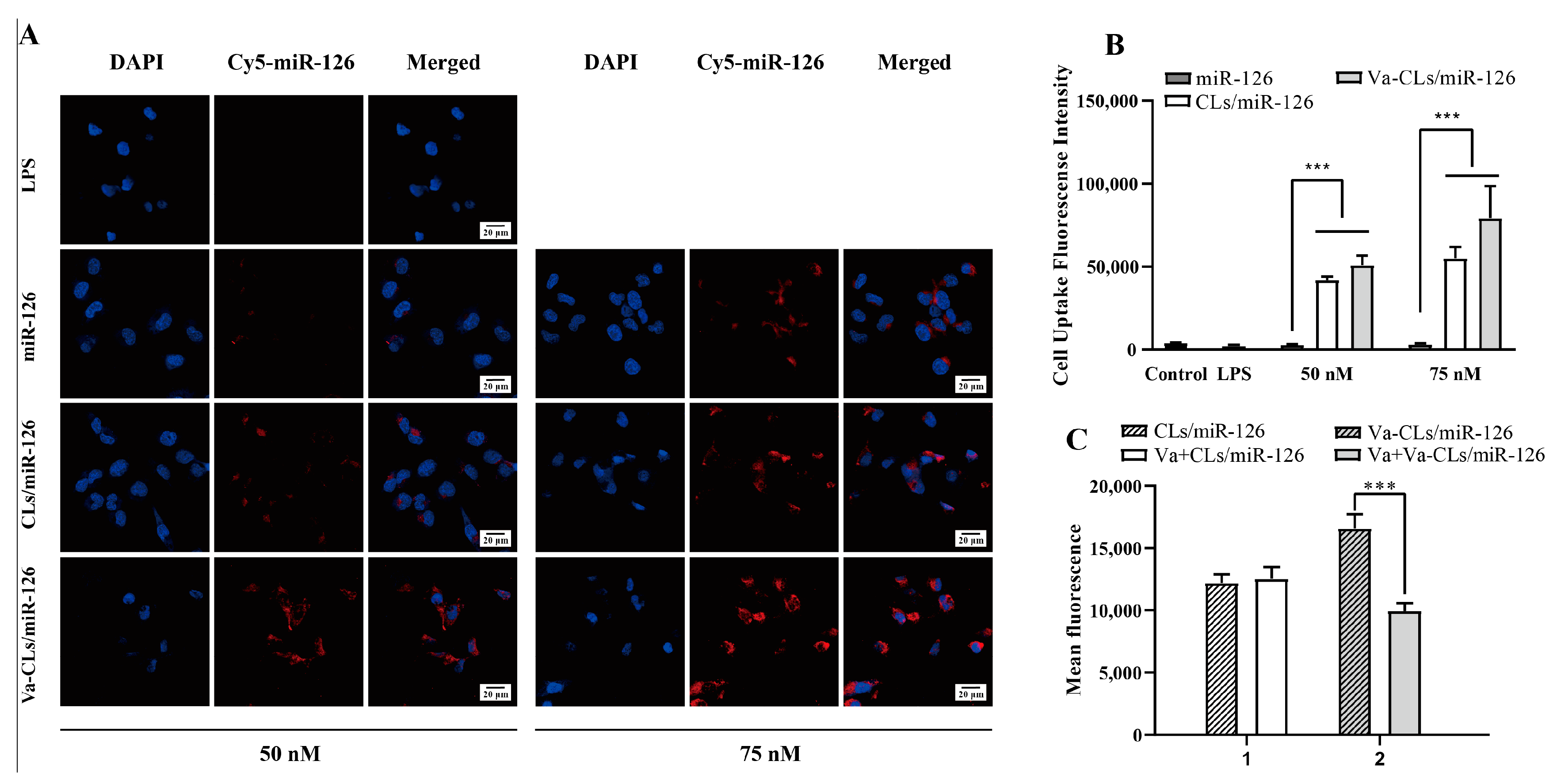Pharmaceutics 15 01379 g005