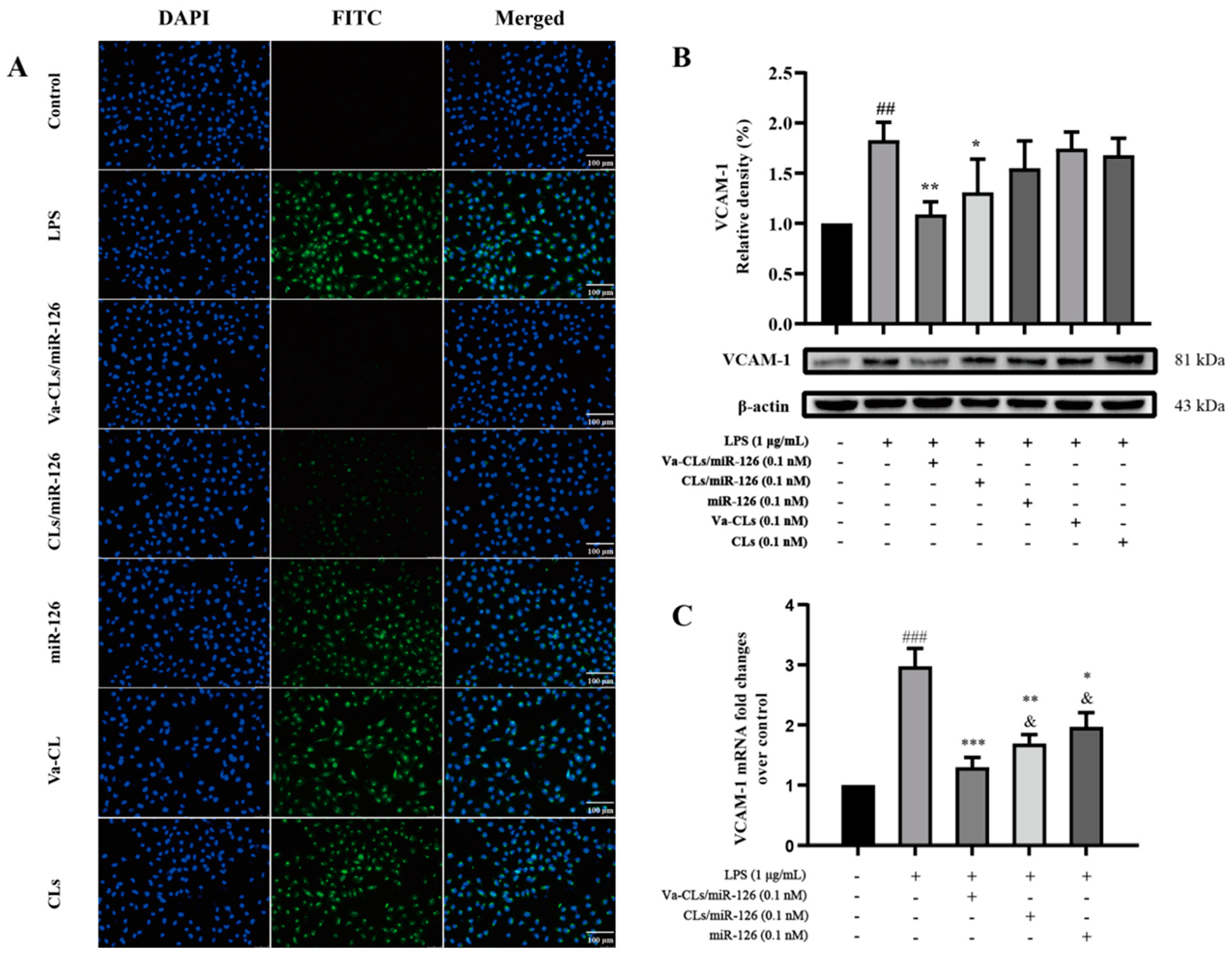 Pharmaceutics 15 01379 g007