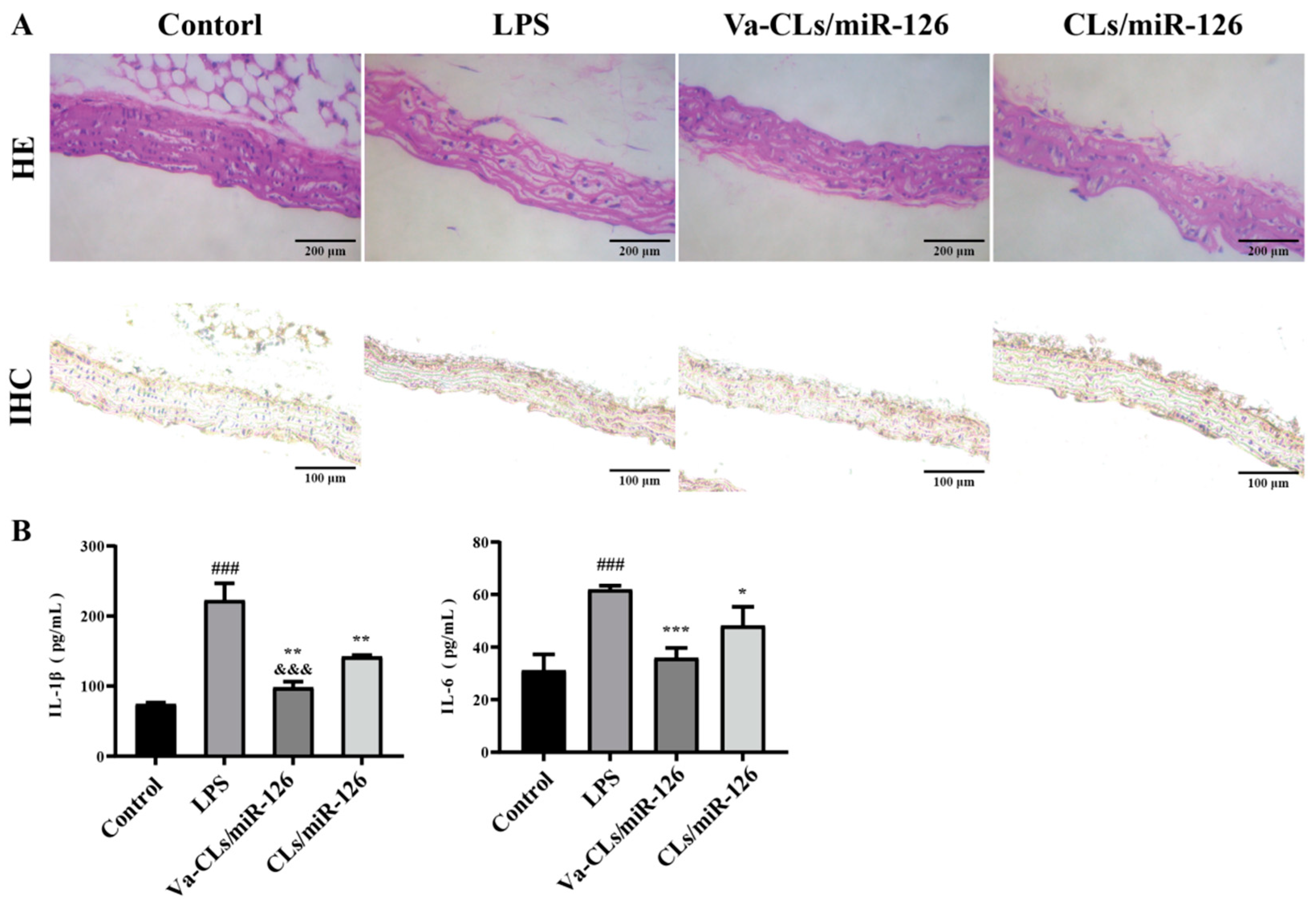 Pharmaceutics 15 01379 g009