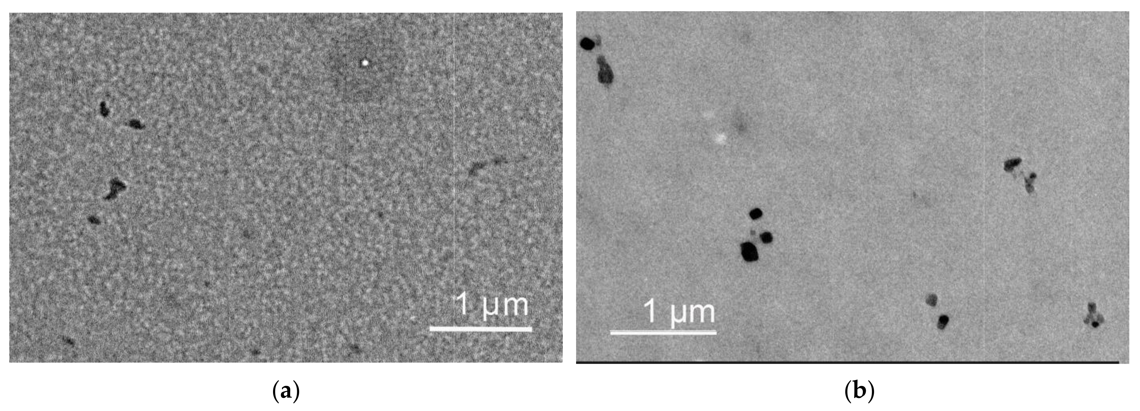 Pharmaceutics 15 01388 g003 Pharmaceutics 15 01388 g003