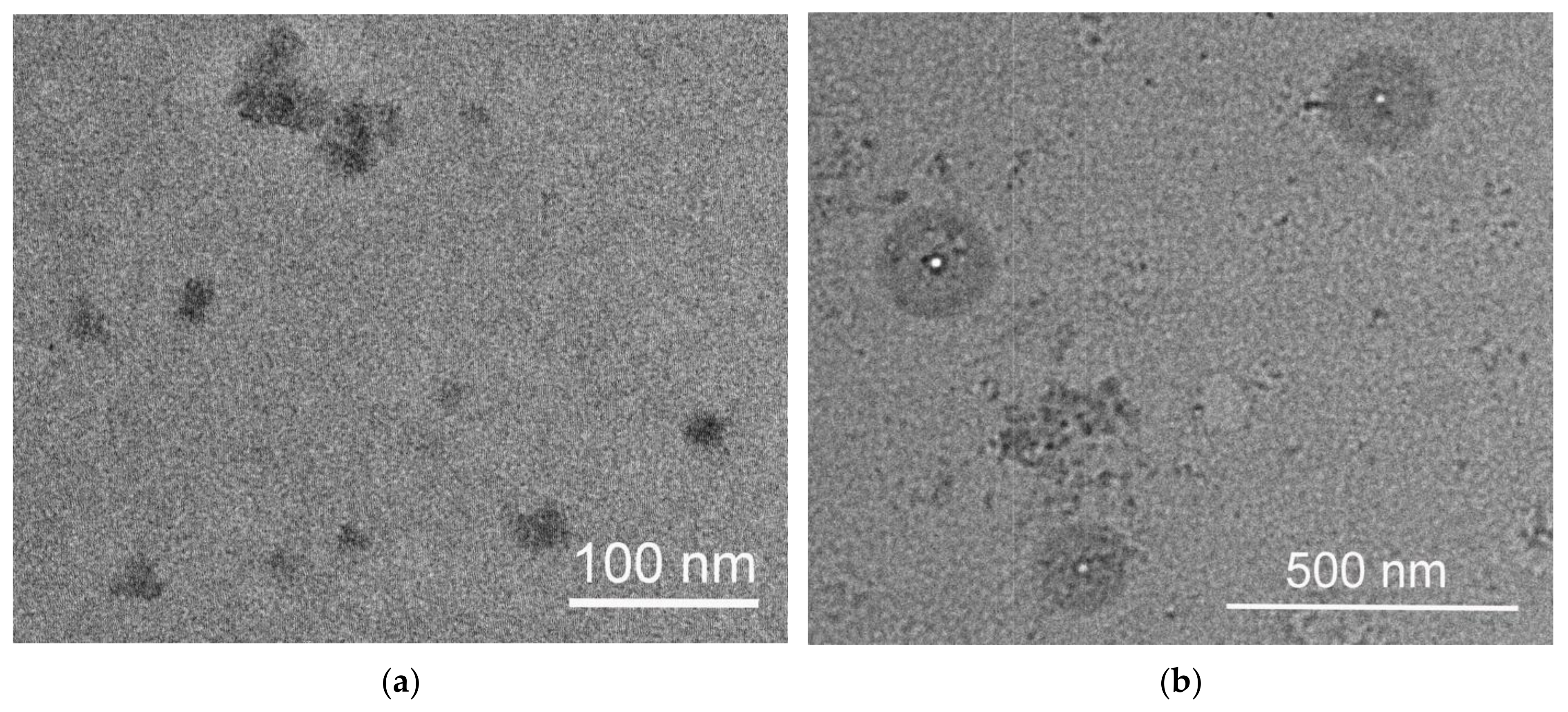 Pharmaceutics 15 01388 g009a Pharmaceutics 15 01388 g009a