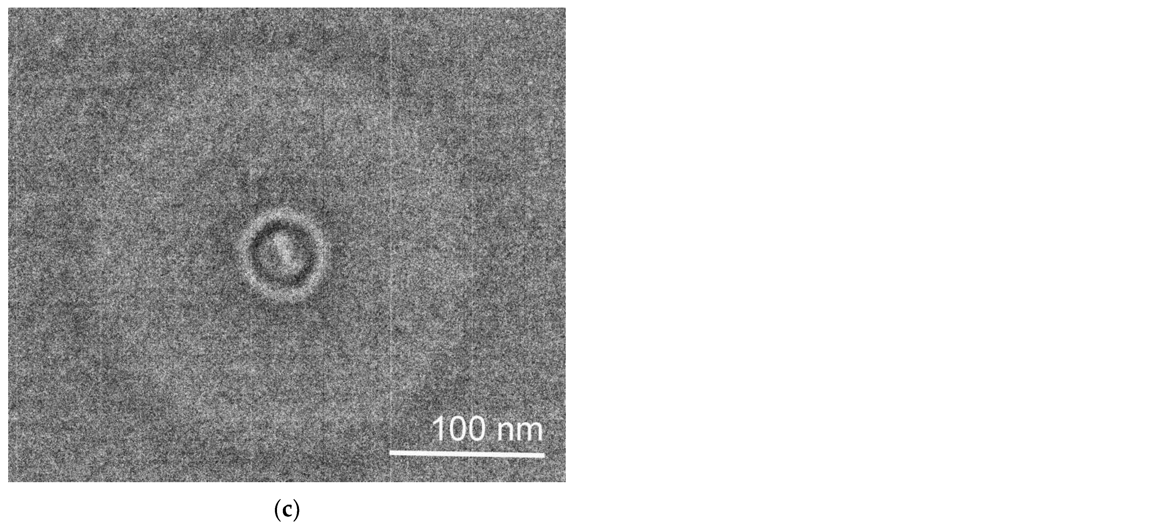 Pharmaceutics 15 01388 g009b Pharmaceutics 15 01388 g009b