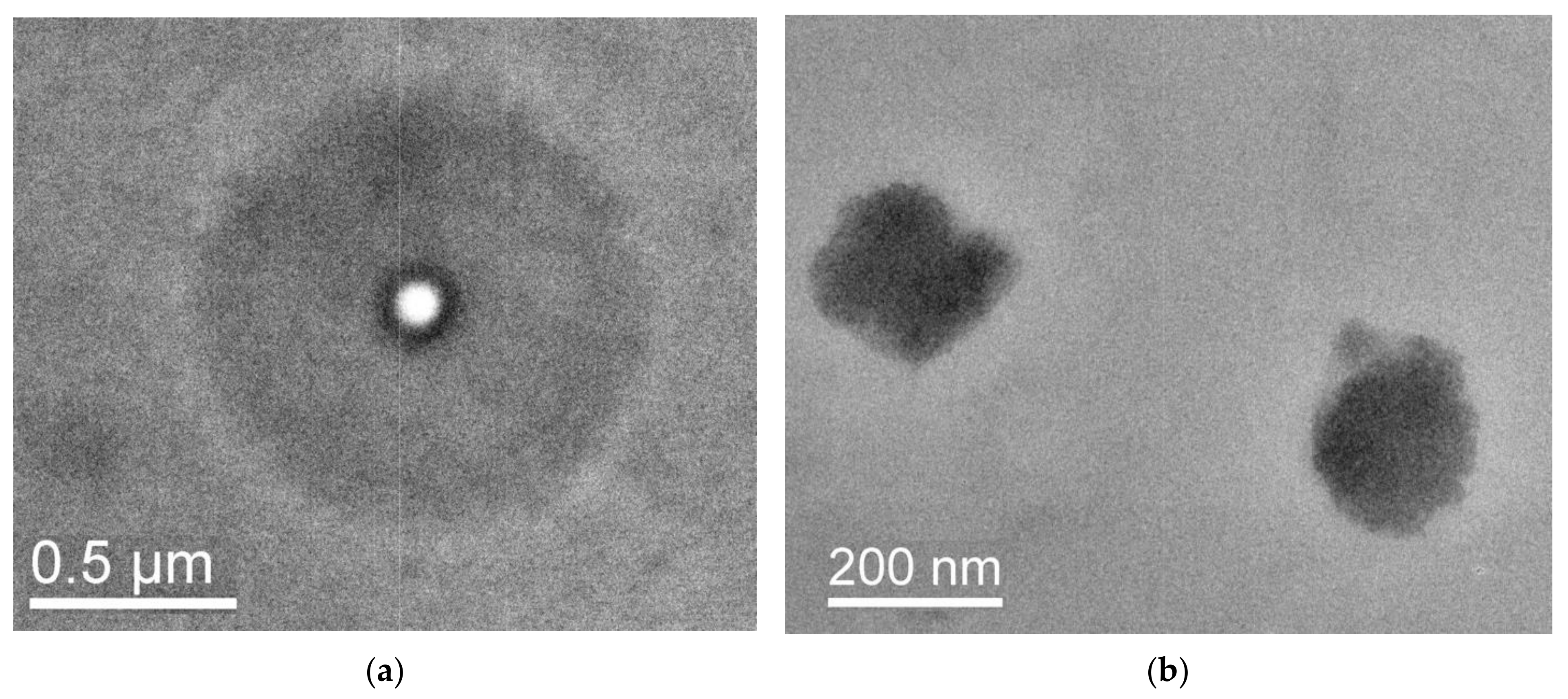 Pharmaceutics 15 01388 g010a Pharmaceutics 15 01388 g010a